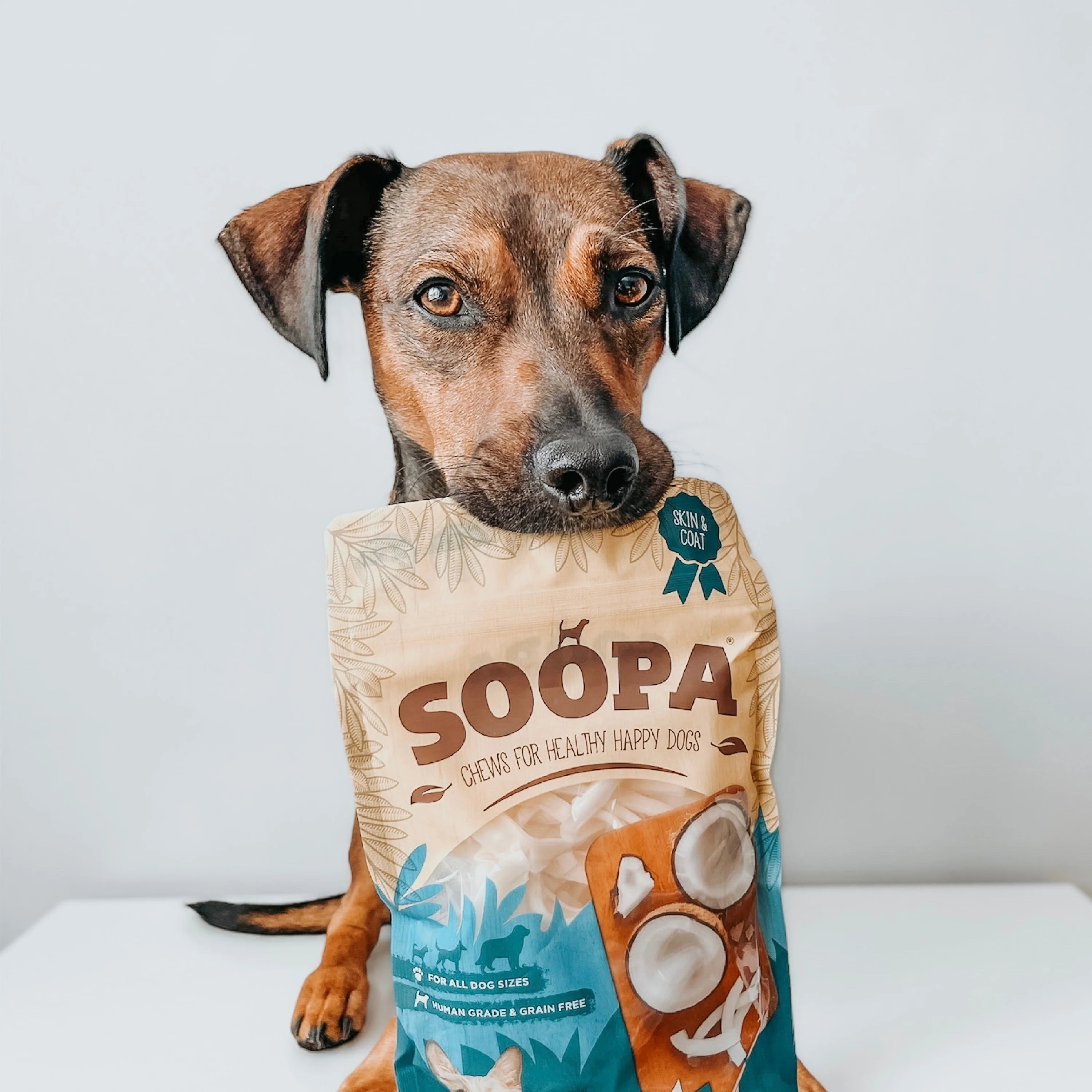 Soopa - Tugg av torkad kokos (100g)