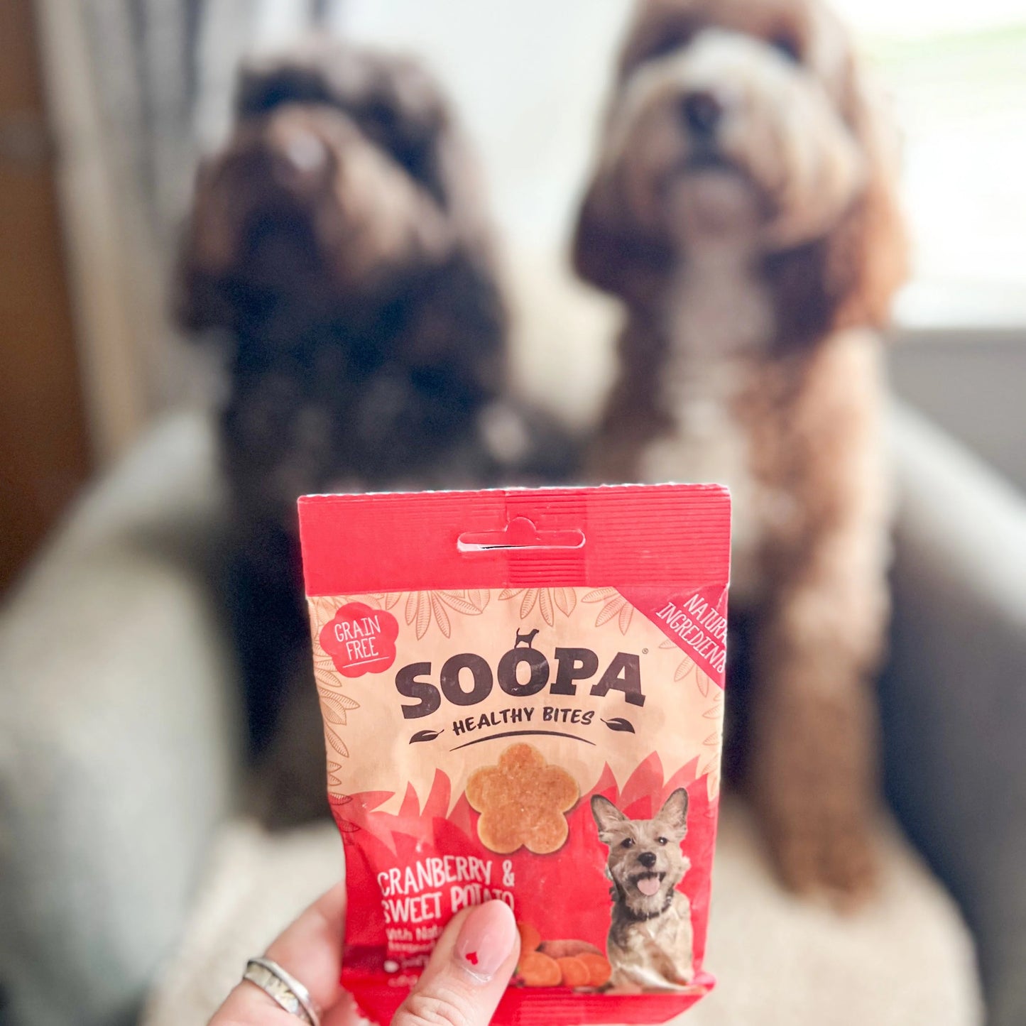 Soopa - Hundgodis | Tranbär och sötpotatis (50g, 50 bitar)