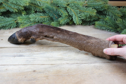 Emmzo - Svenskt hjortben med päls och klöve (cirka 35-45cm)