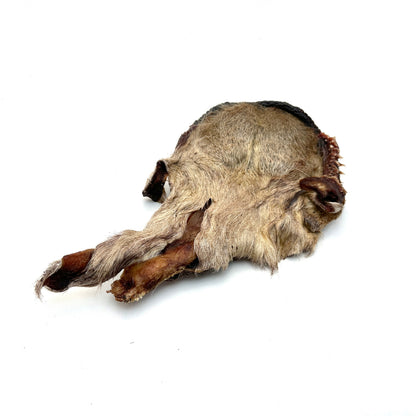 Emmzo - Svensk oxkind med päls