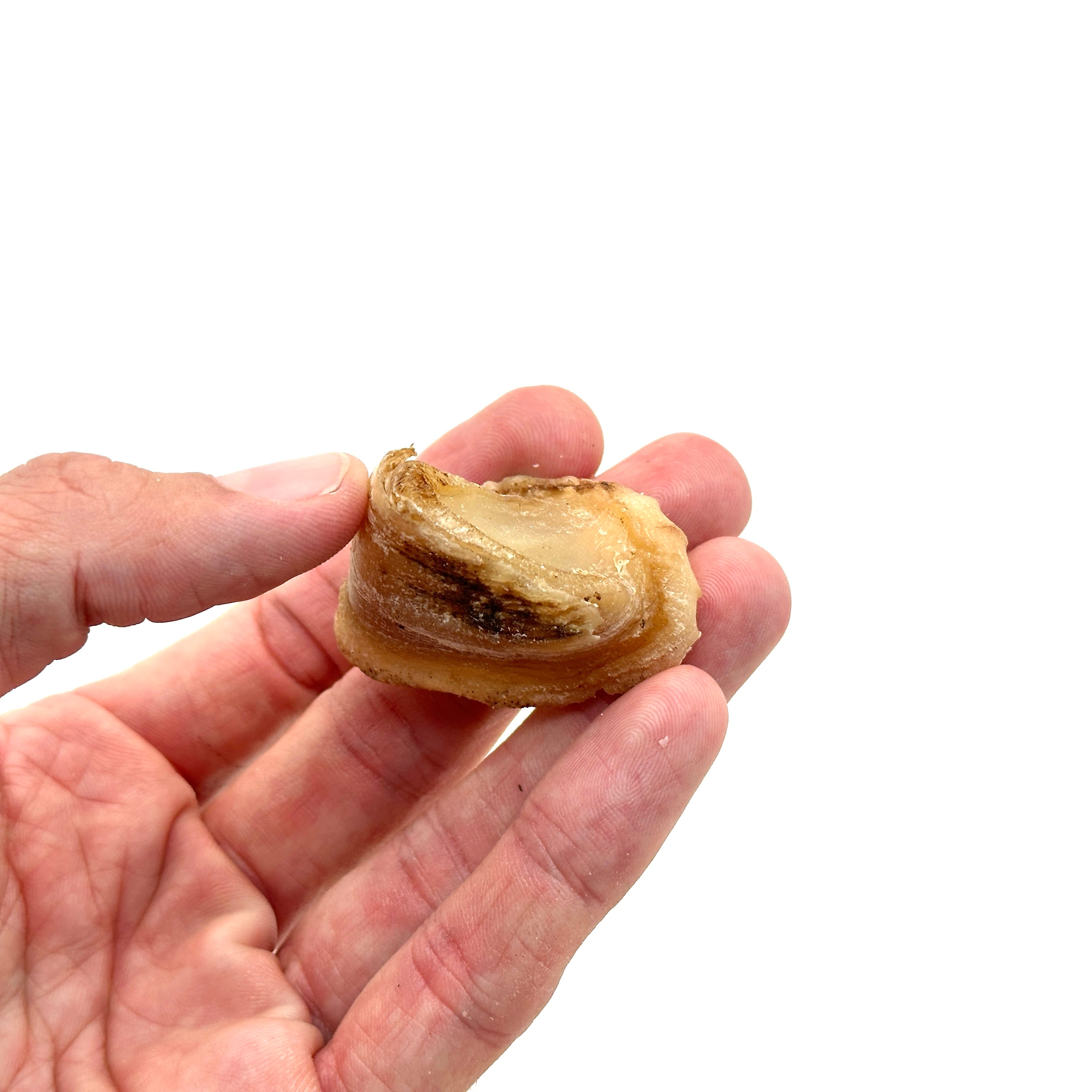Emmzo - Svensk oxklöve mini