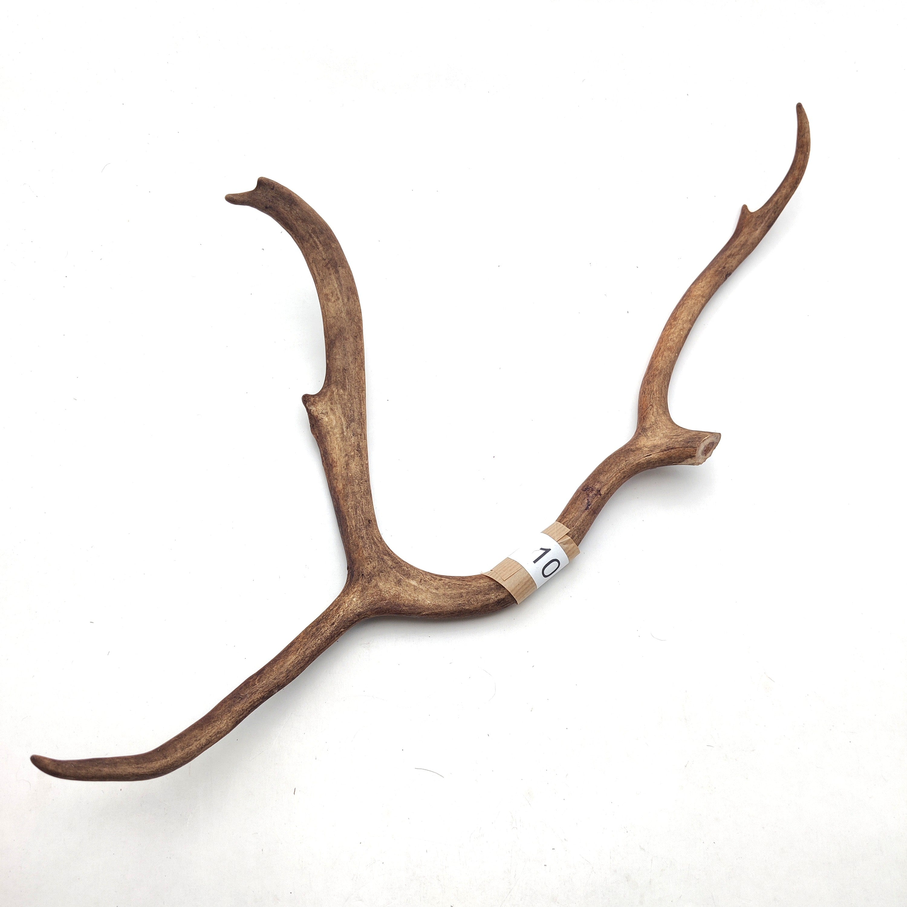 Välj ditt eget renhorn