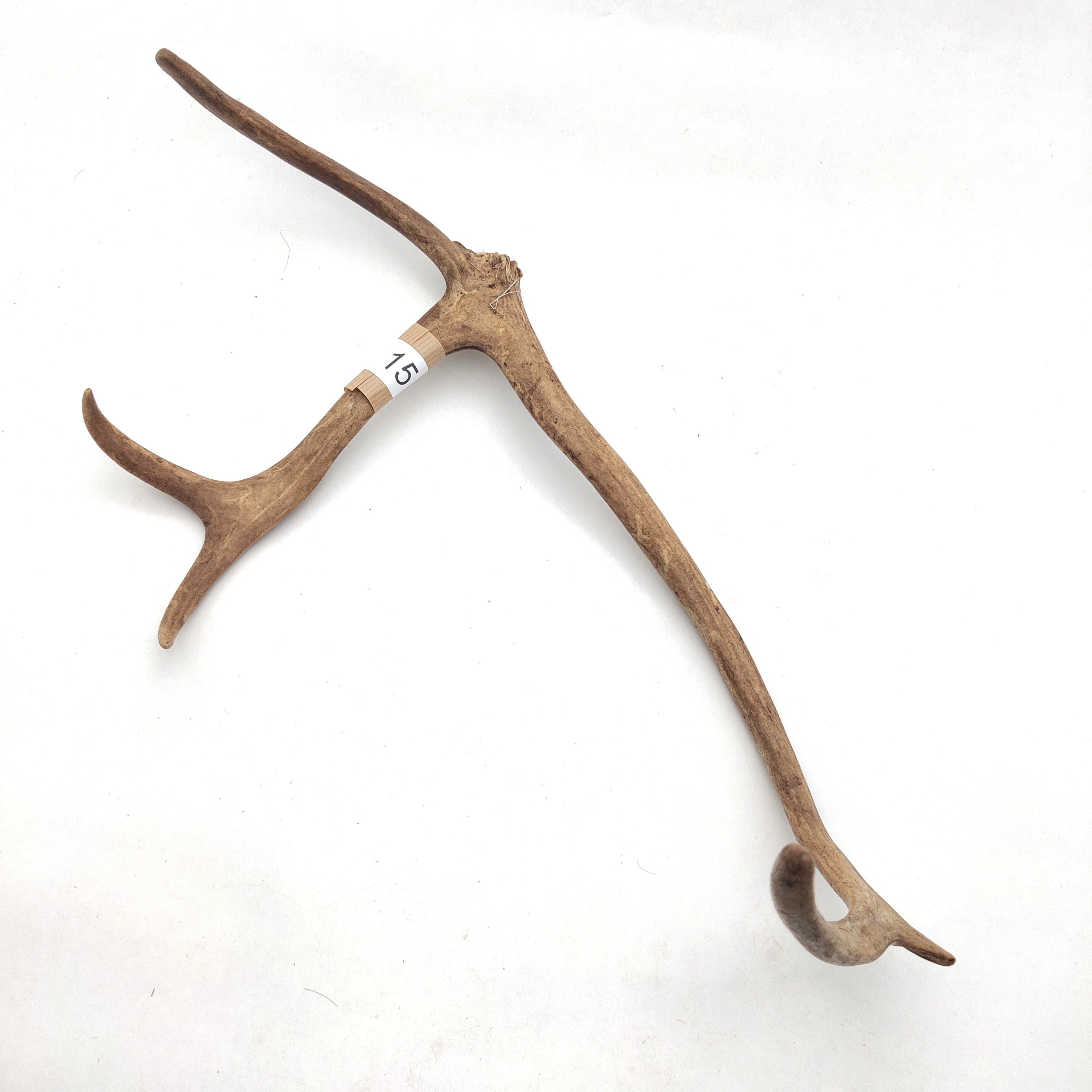 Välj ditt eget renhorn