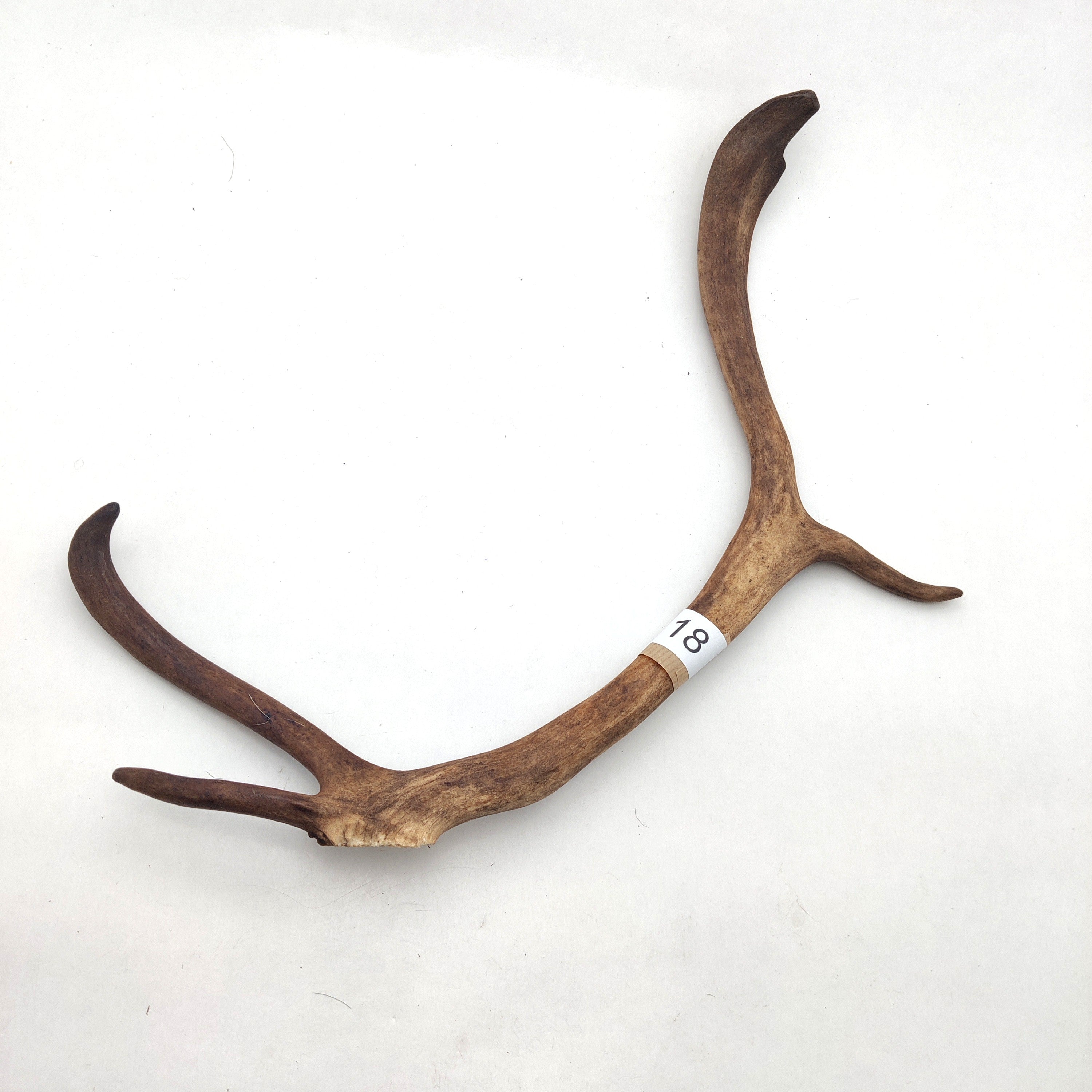 Välj ditt eget renhorn