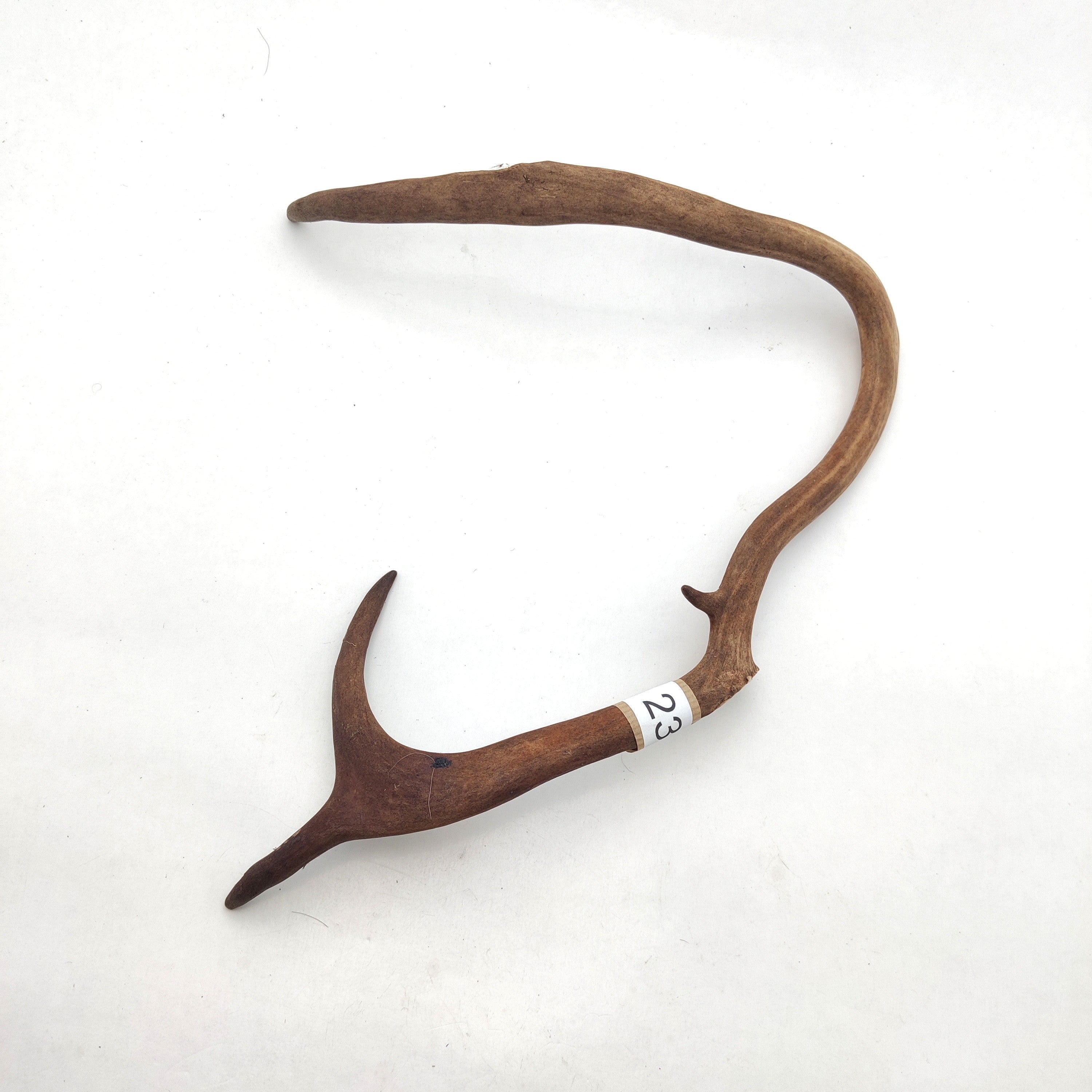 Välj ditt eget renhorn