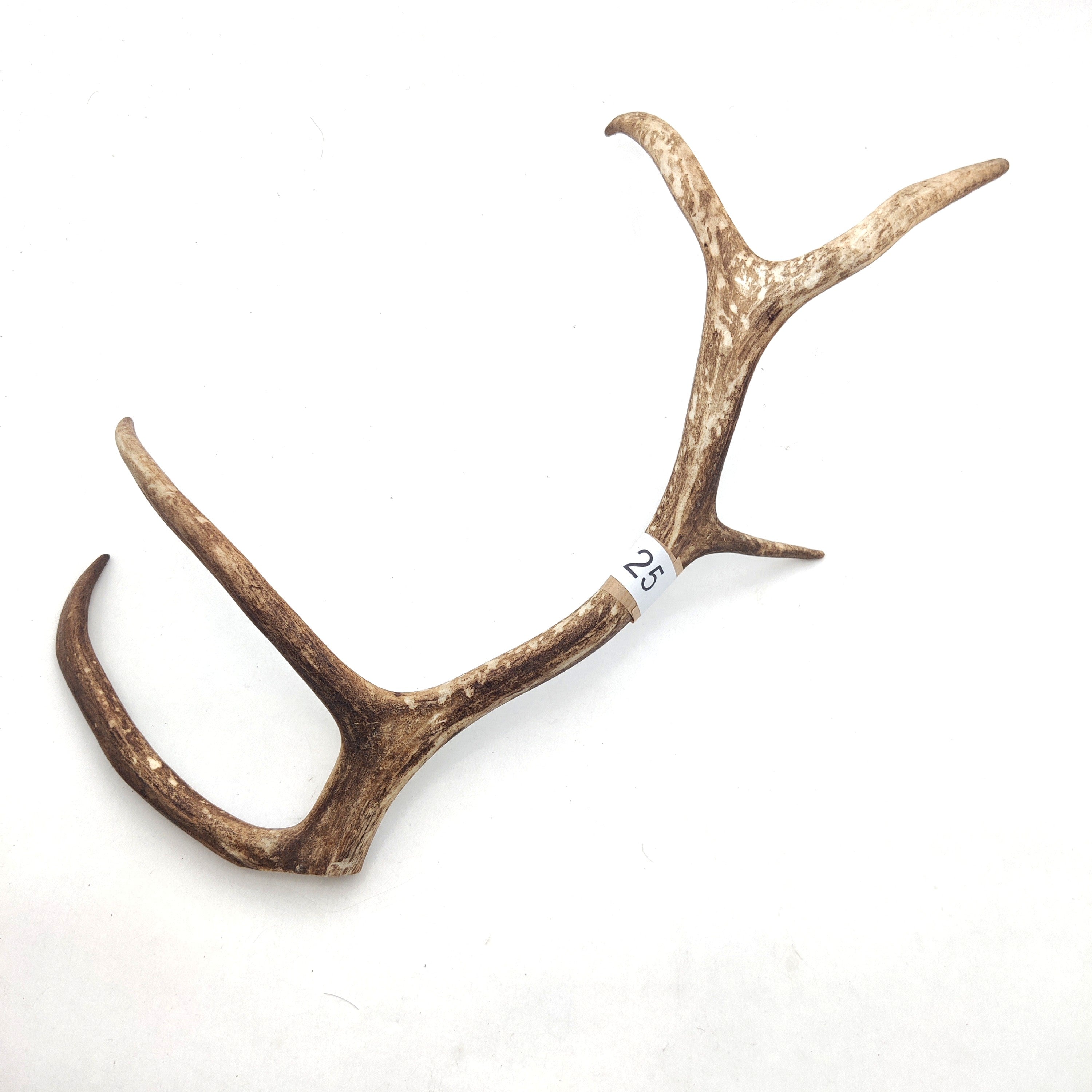 Välj ditt eget renhorn