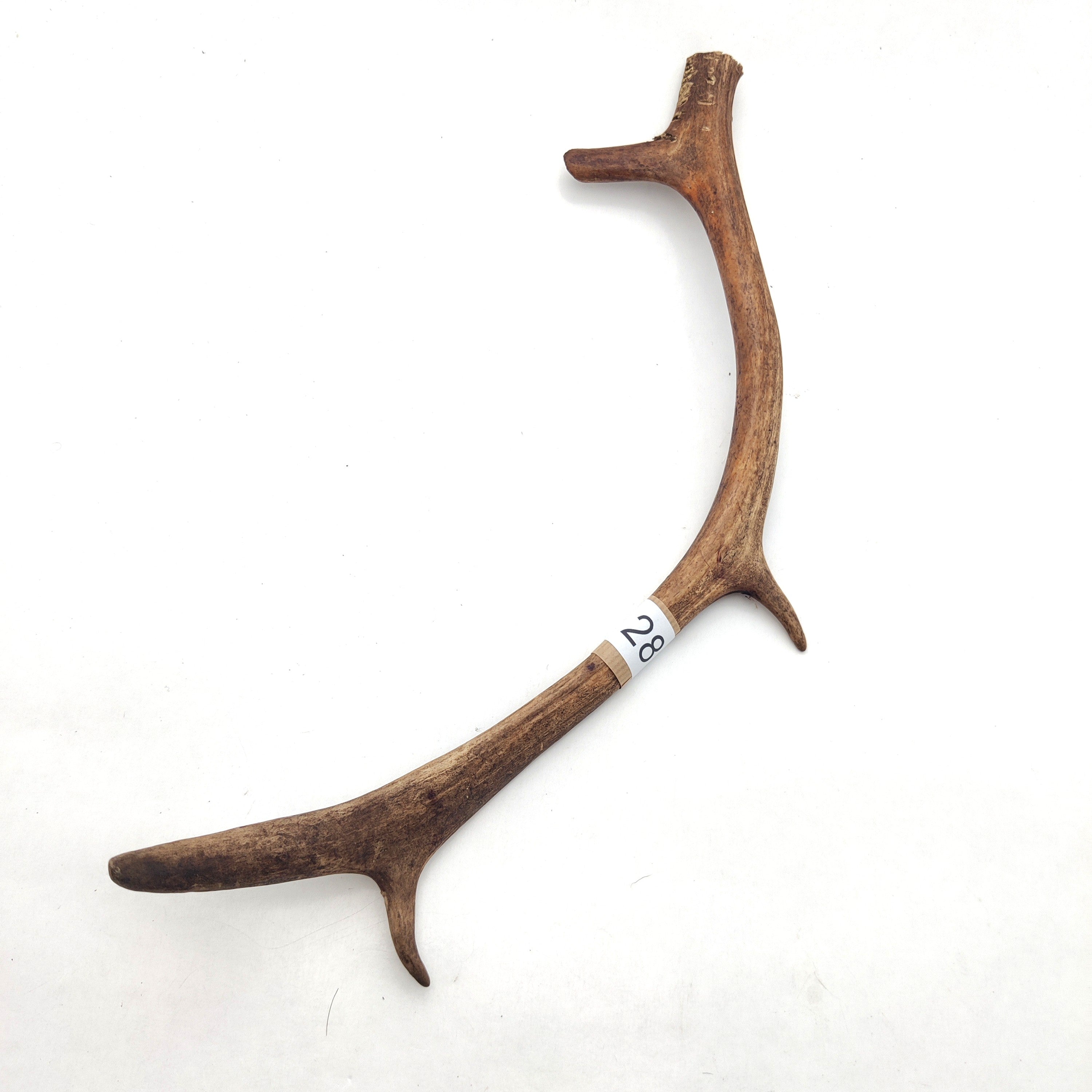 Välj ditt eget renhorn