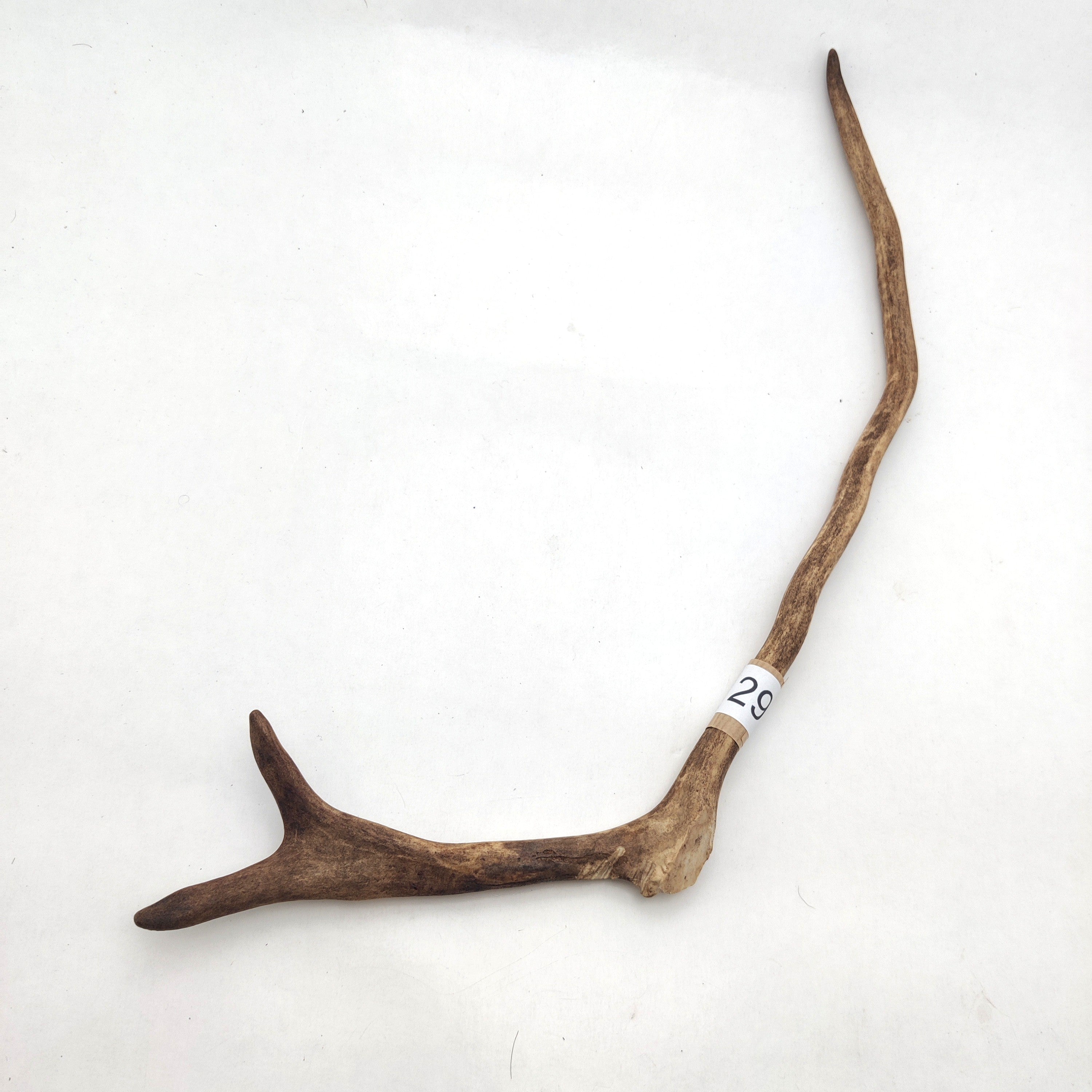 Välj ditt eget renhorn