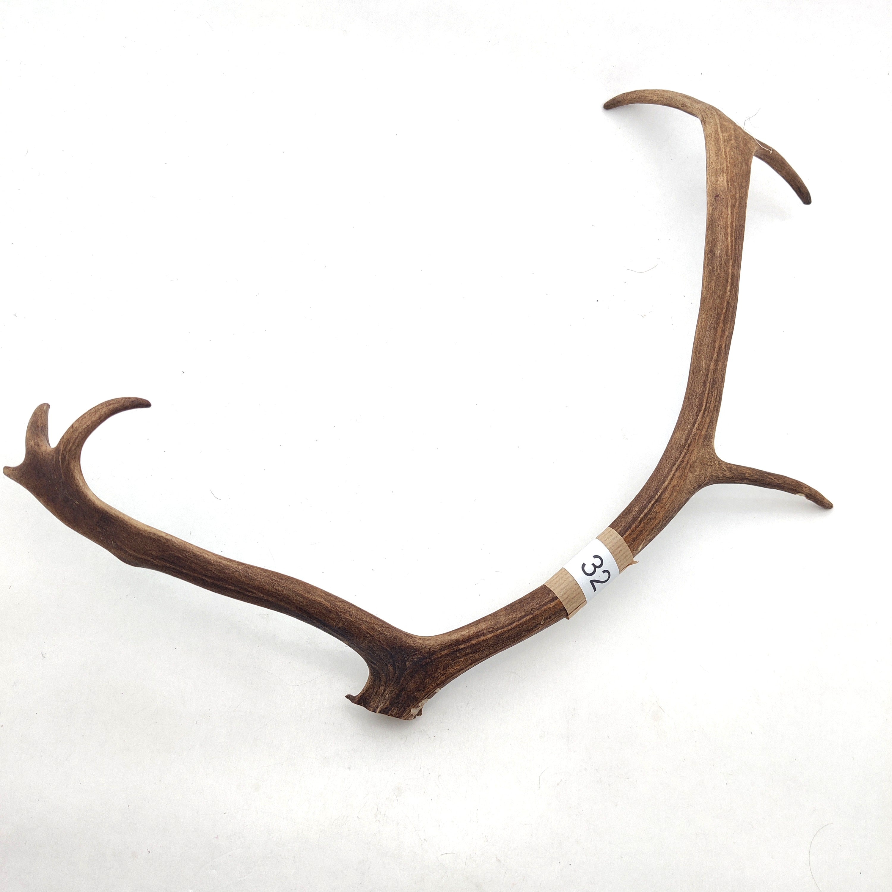 Välj ditt eget renhorn