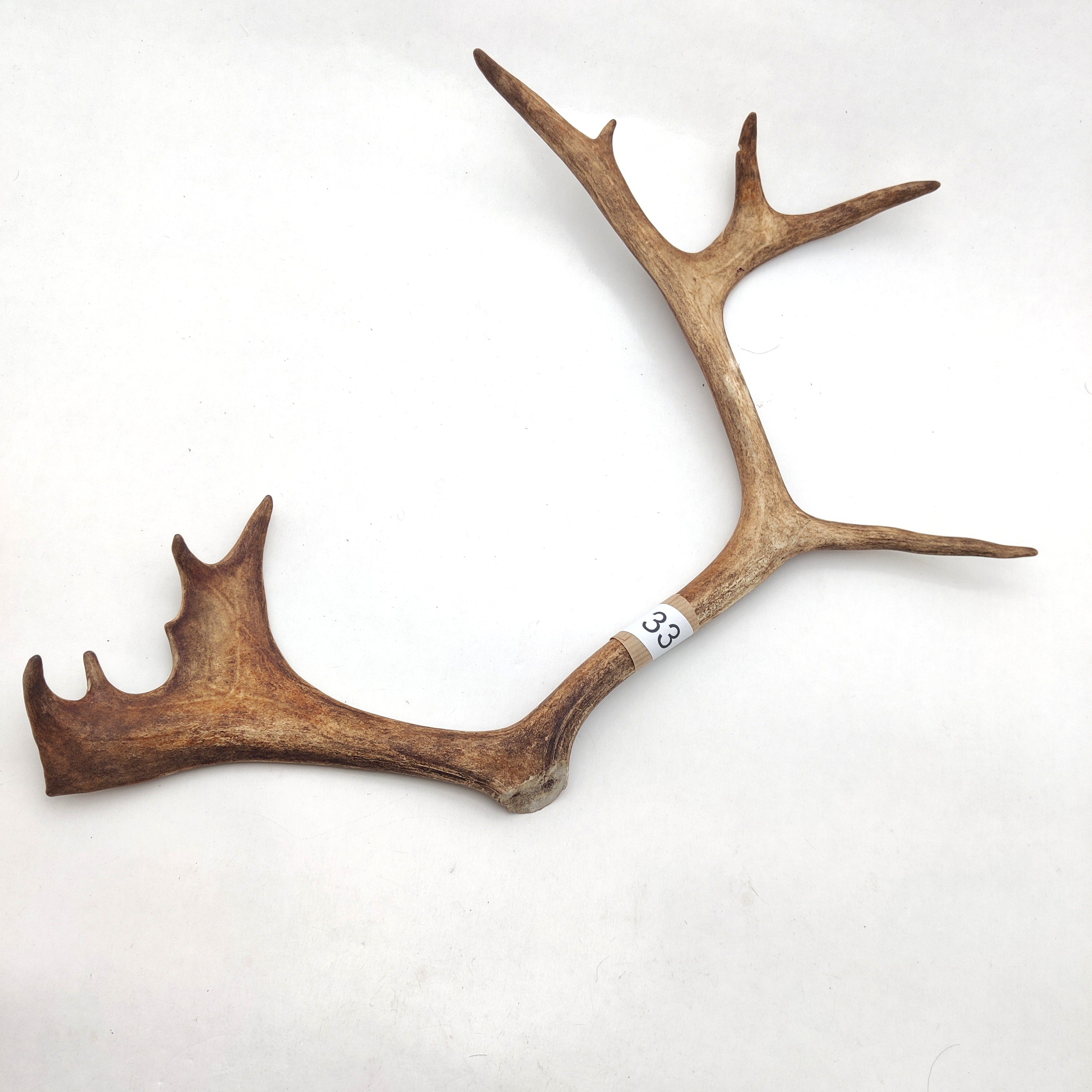 Välj ditt eget renhorn