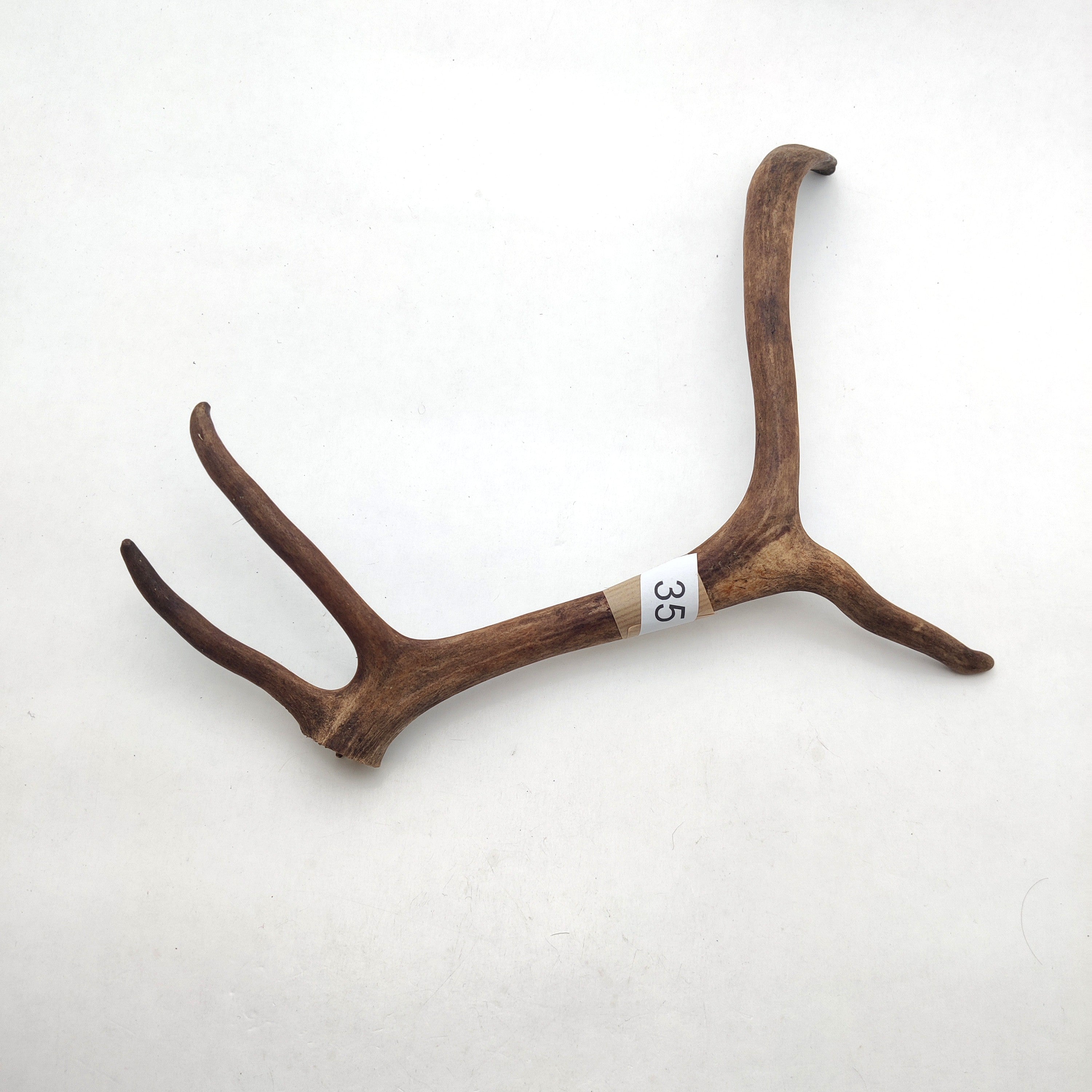 Välj ditt eget renhorn