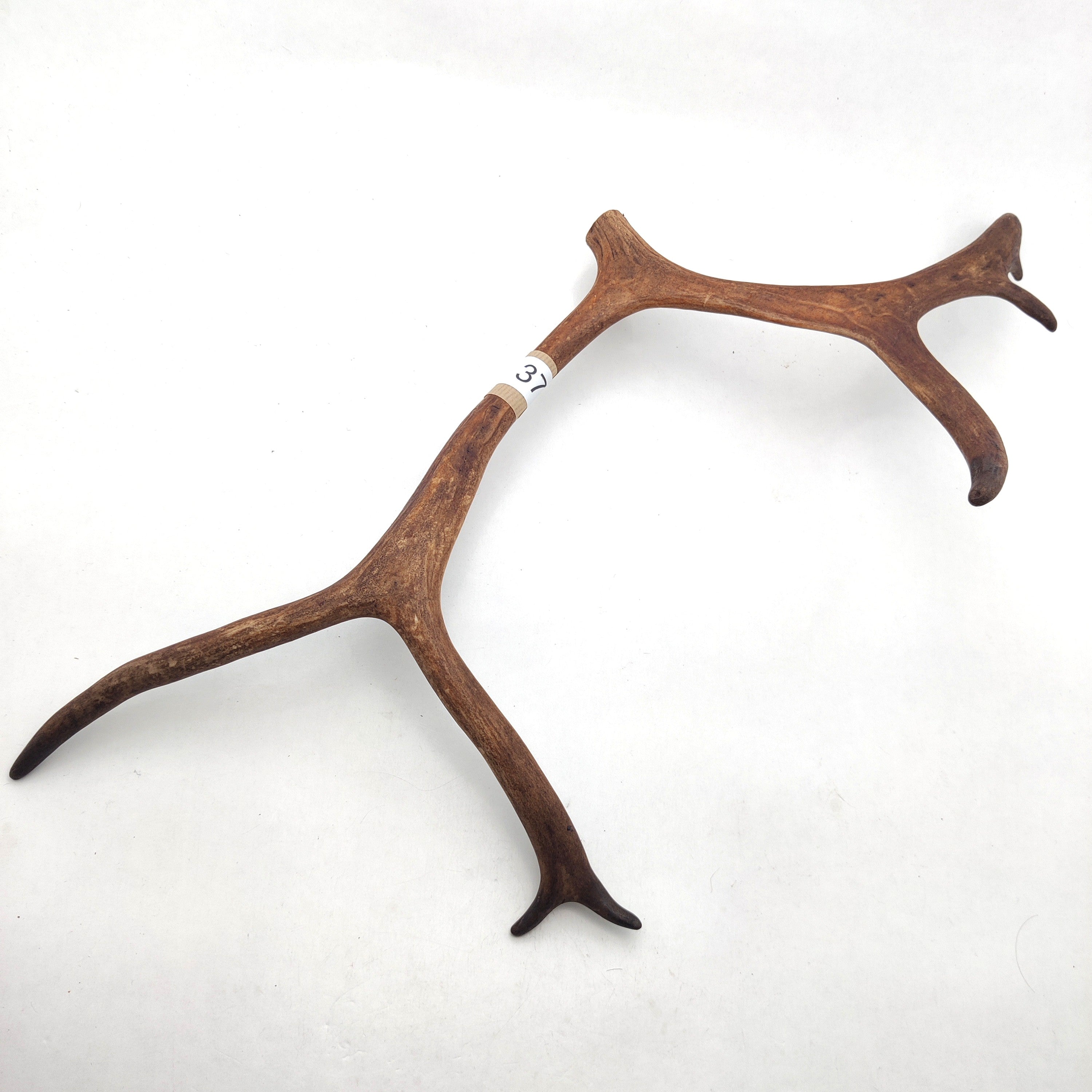 Välj ditt eget renhorn