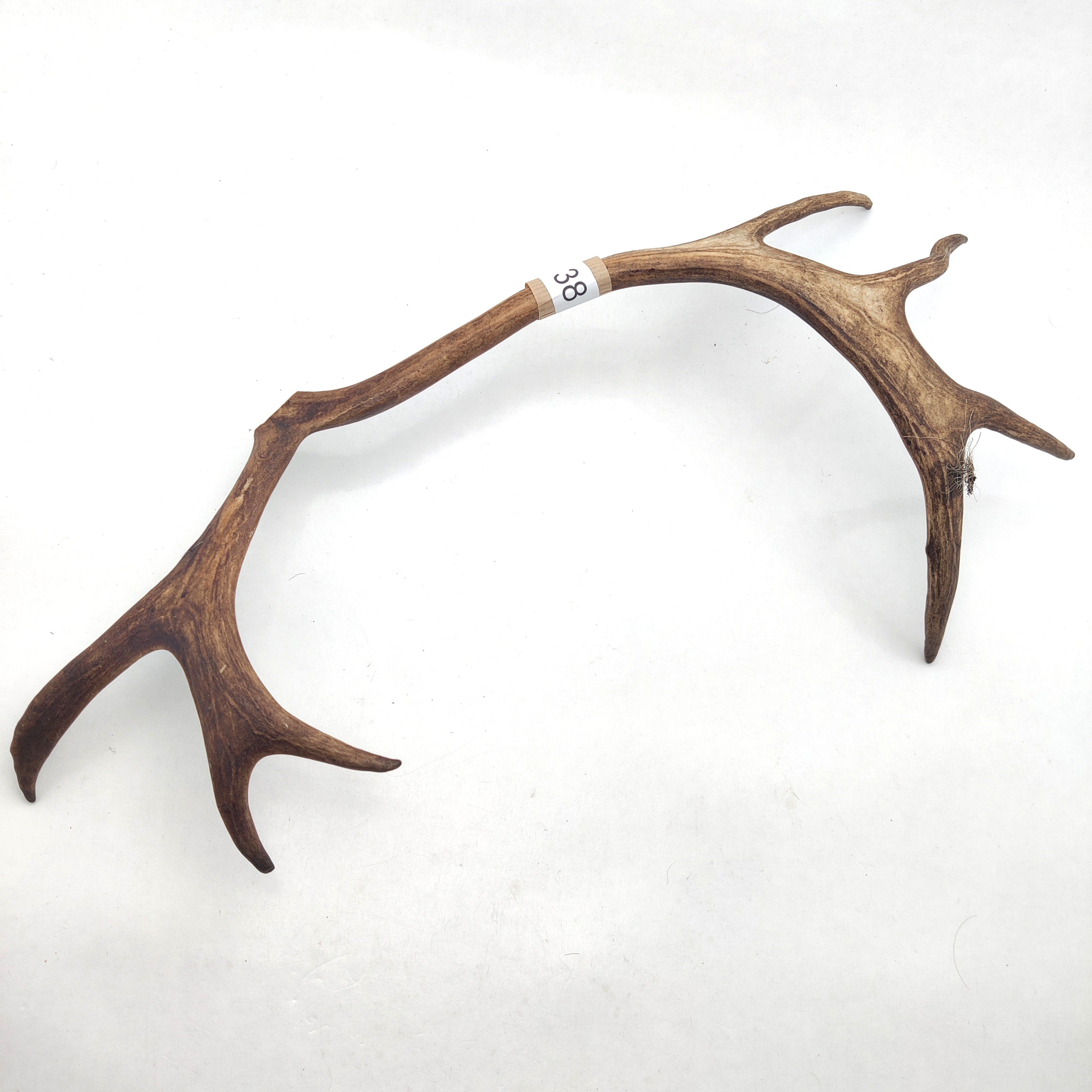 Välj ditt eget renhorn