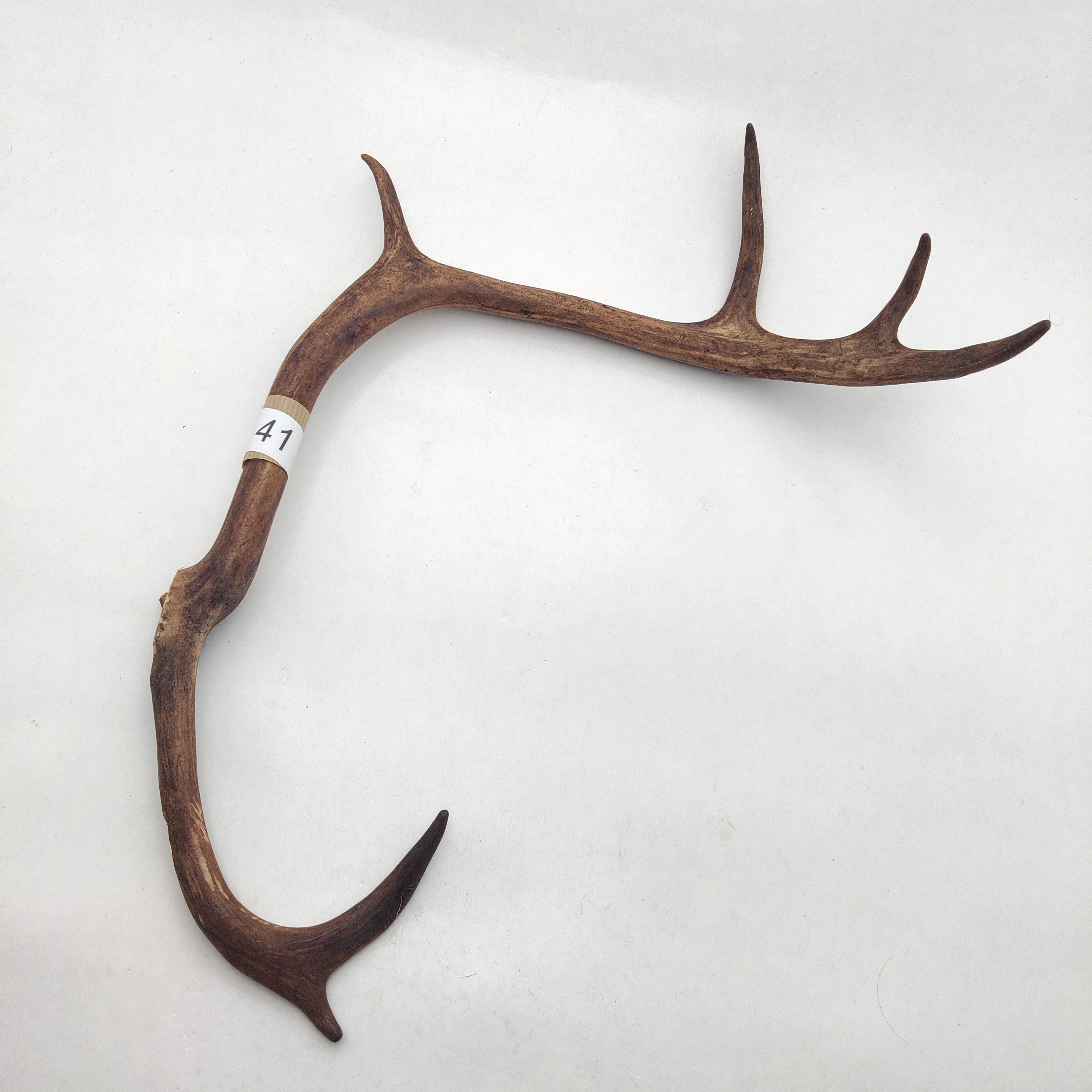 Välj ditt eget renhorn