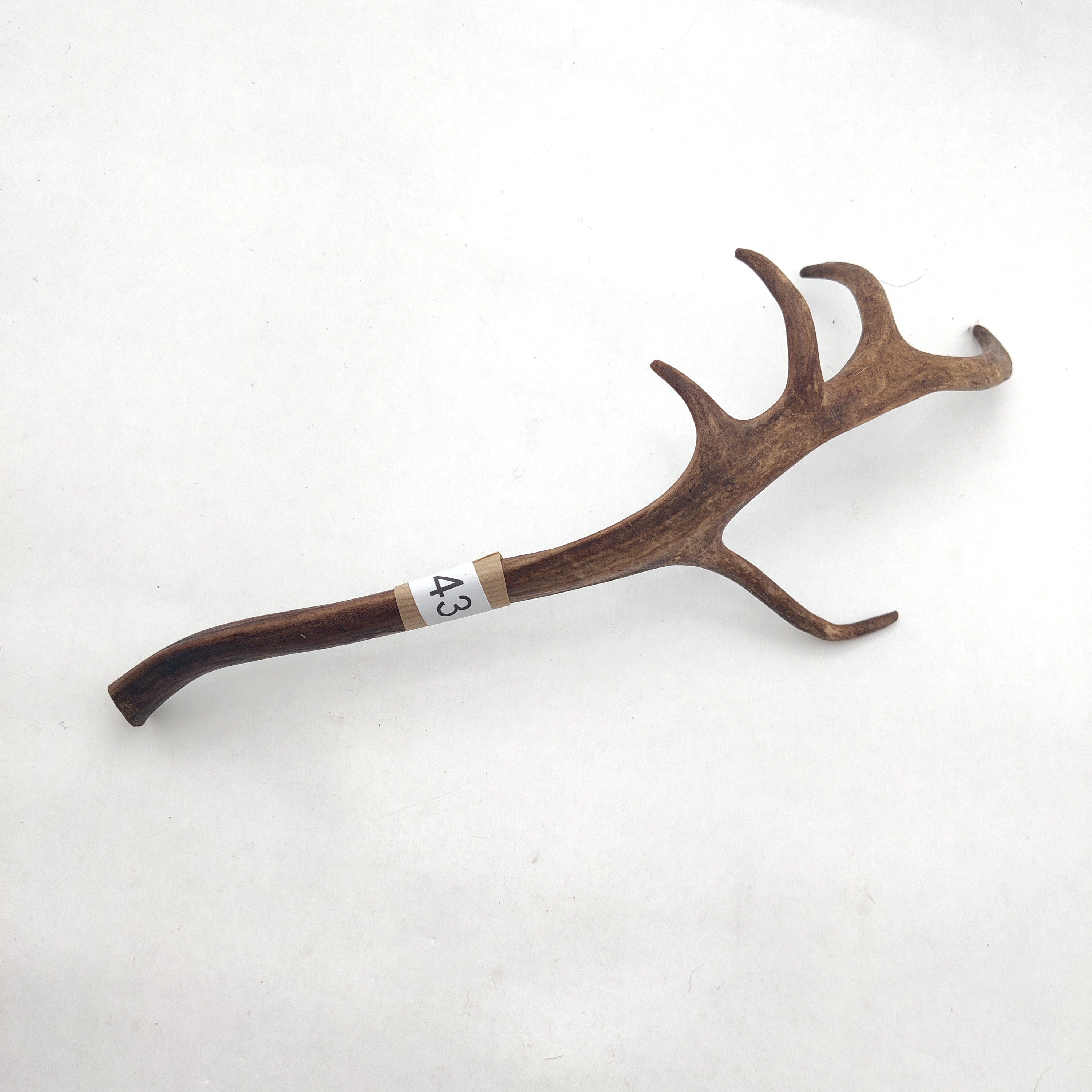 Välj ditt eget renhorn