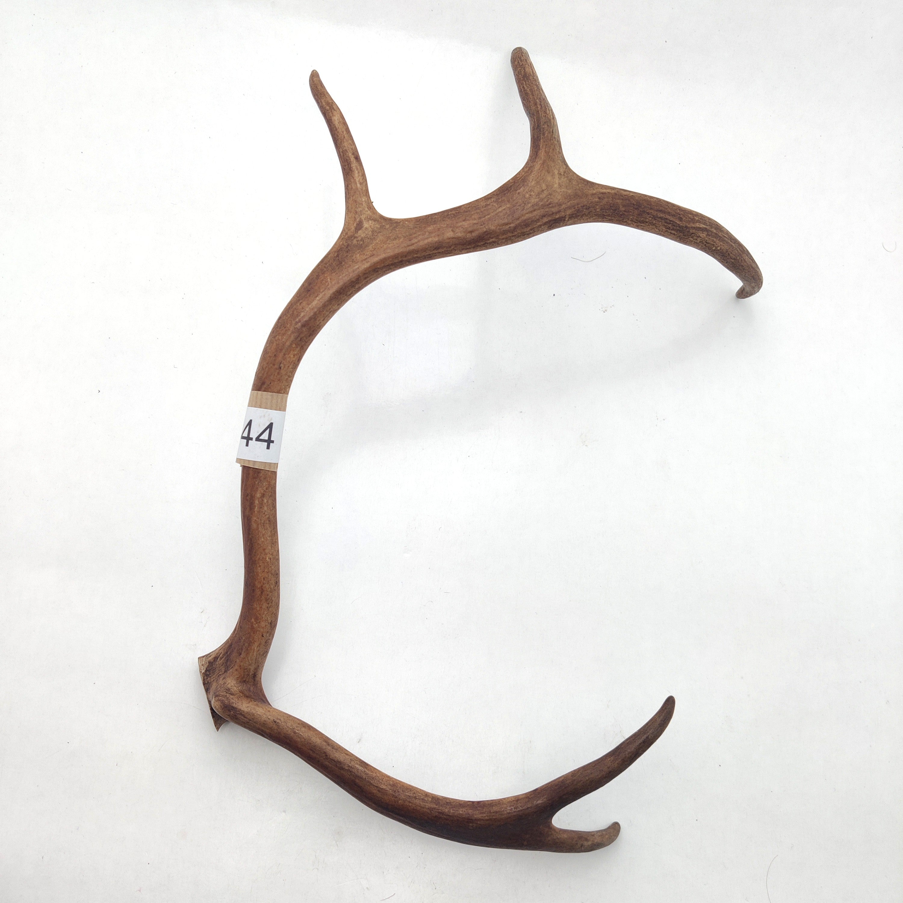 Välj ditt eget renhorn