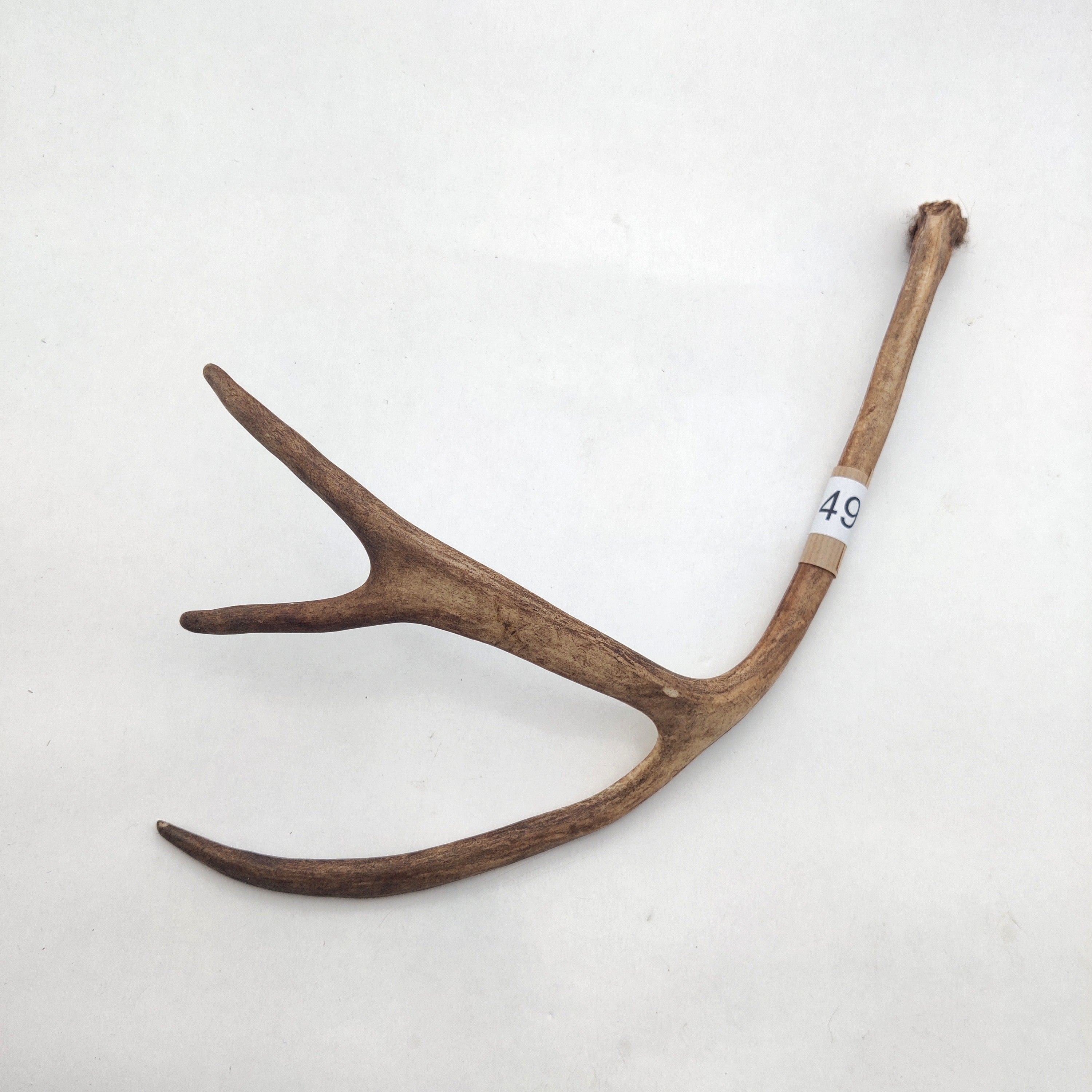 Välj ditt eget renhorn