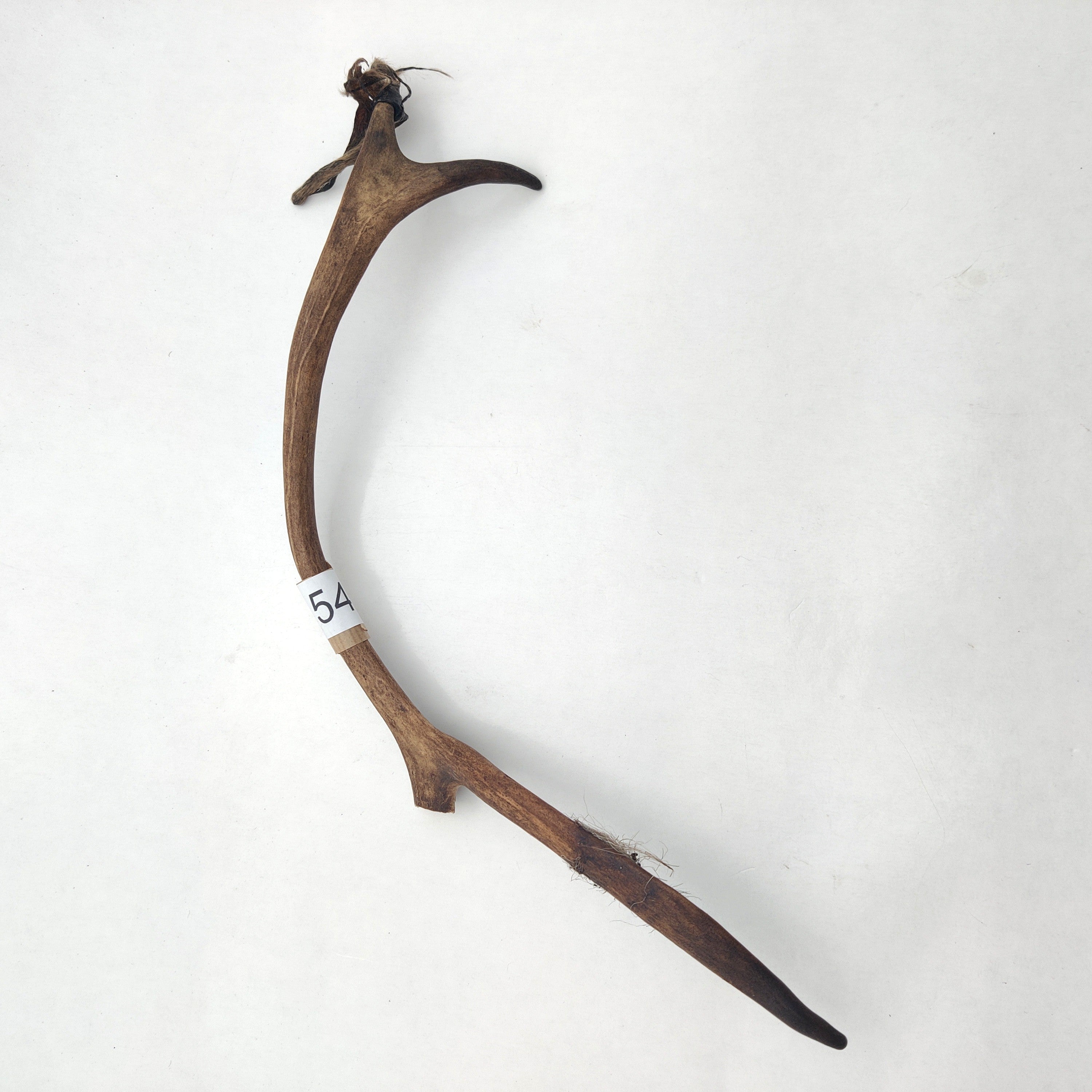 Välj ditt eget renhorn