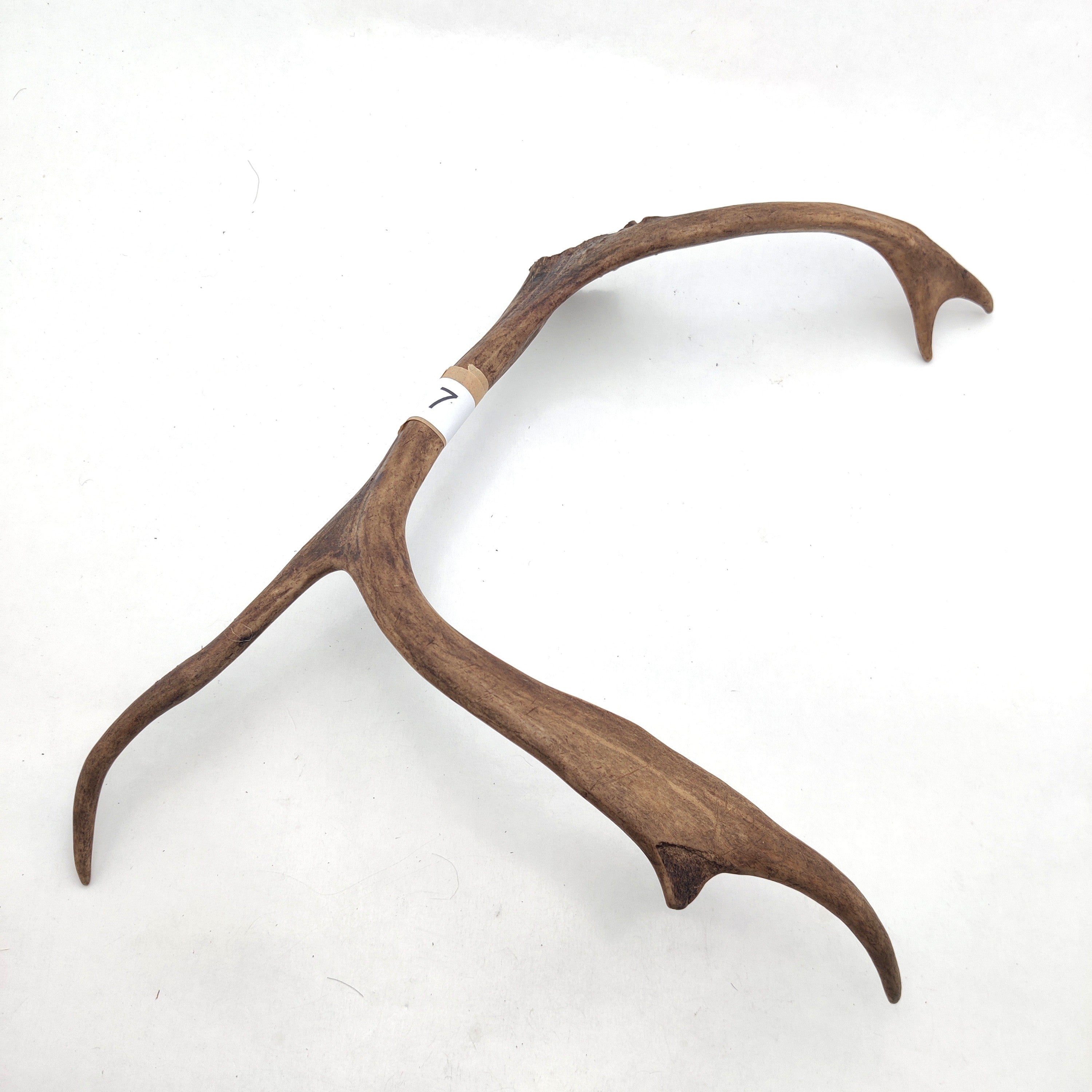 Välj ditt eget renhorn