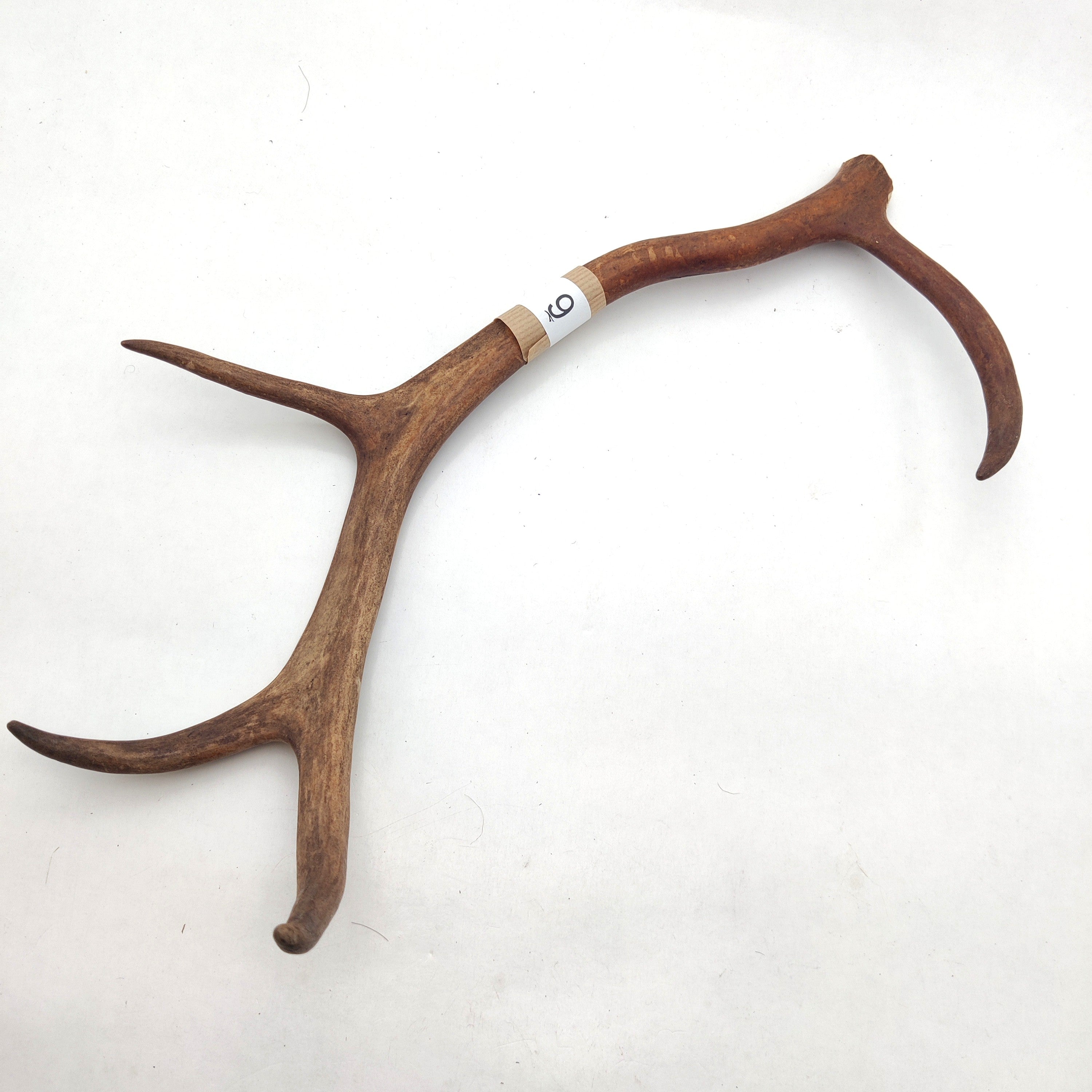 Välj ditt eget renhorn