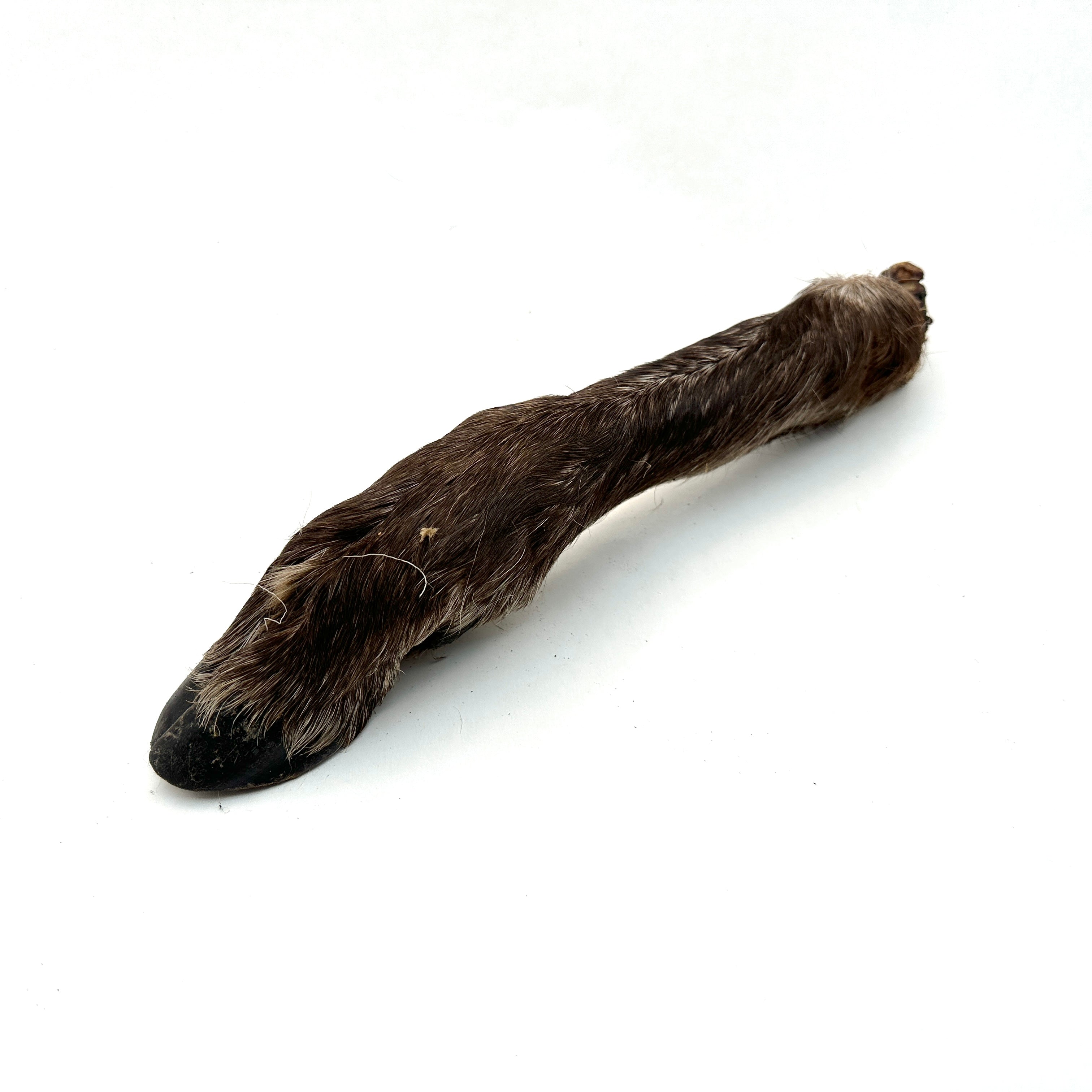 Emmzo - Svenskt renben med päls och klöve (150-280g)