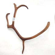 Välj ditt eget renhorn