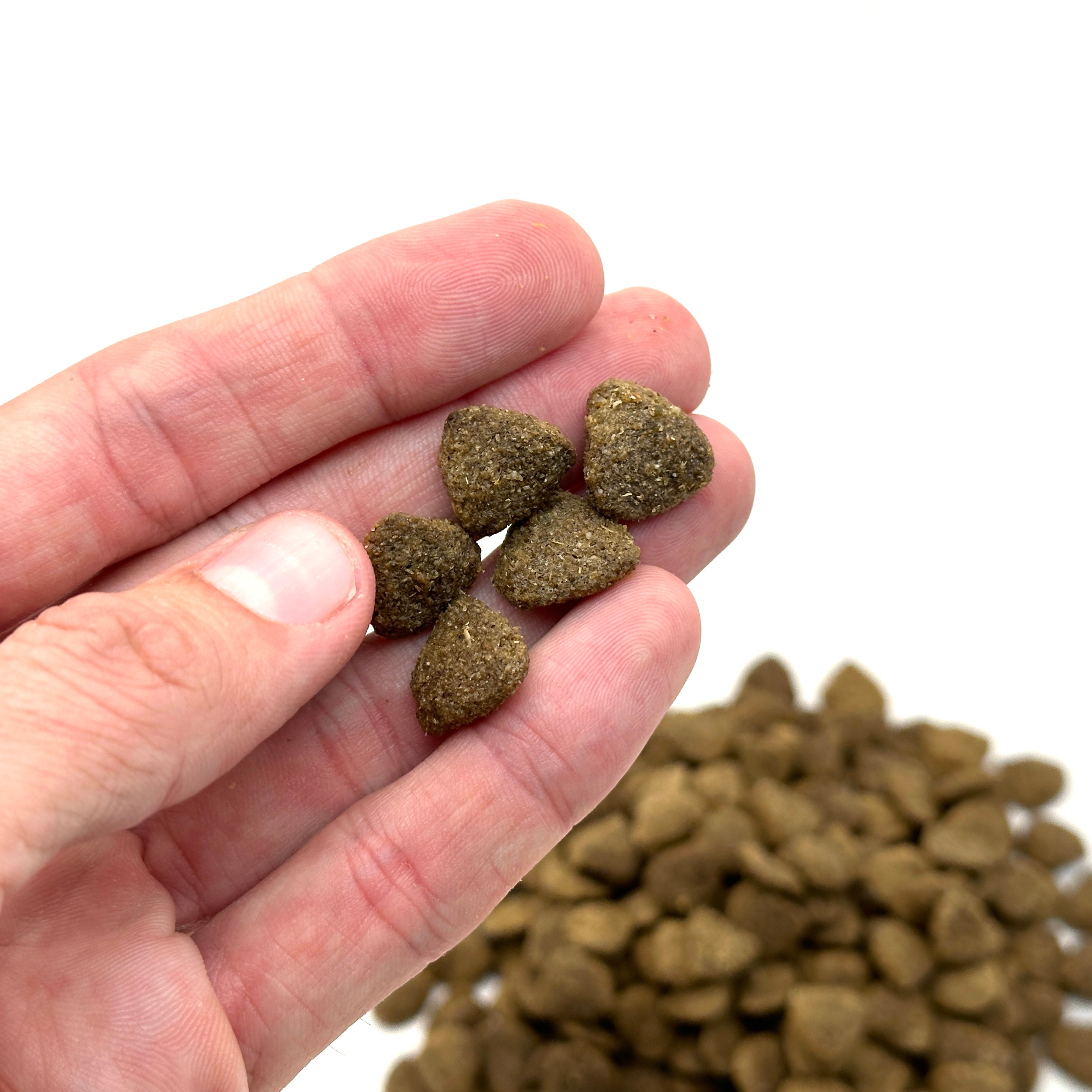 Glufs - Musselmunch | Hundgodis av blåmussla (110g)