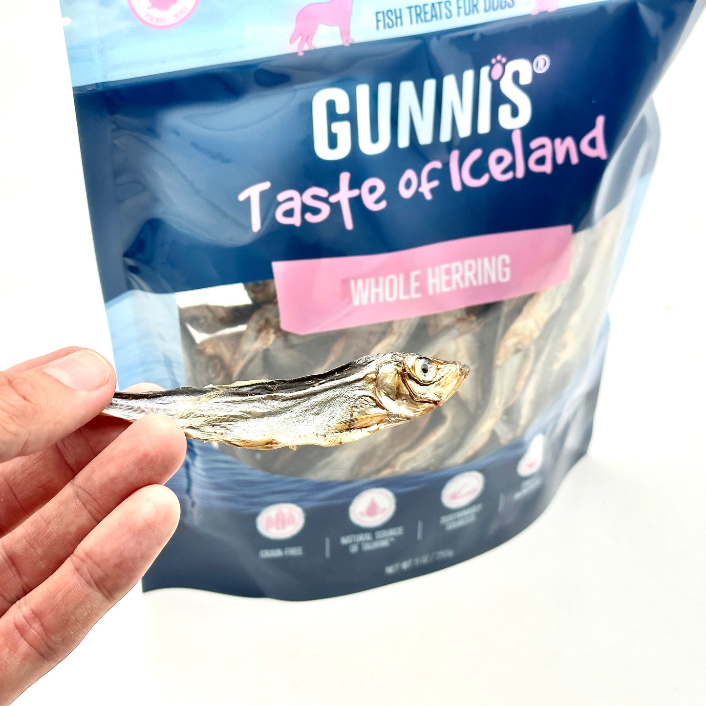 Gunnis - Hela småsillar