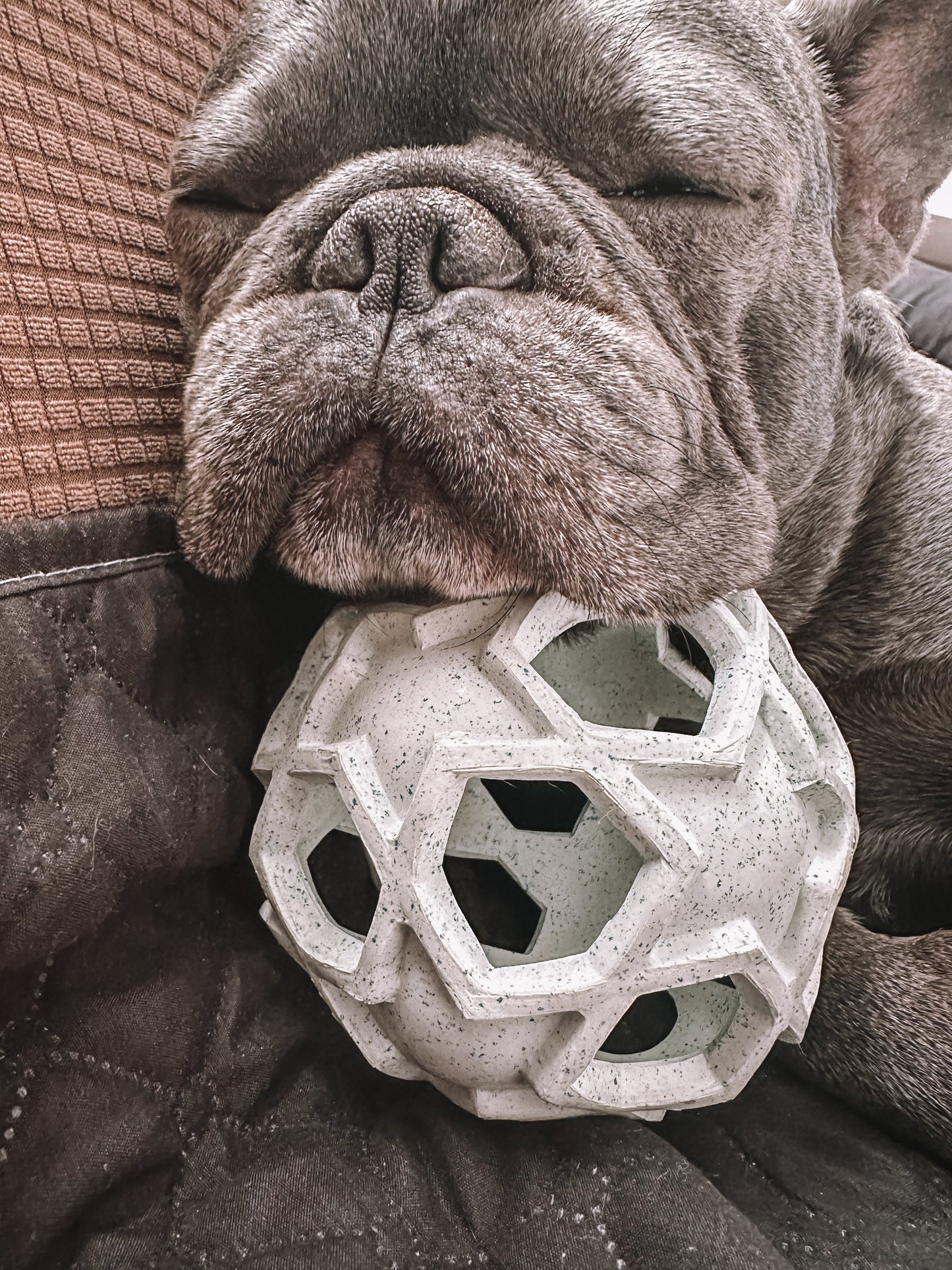 Hevea - Stellar ball  | kast- och aktivitetsboll i naturgummi