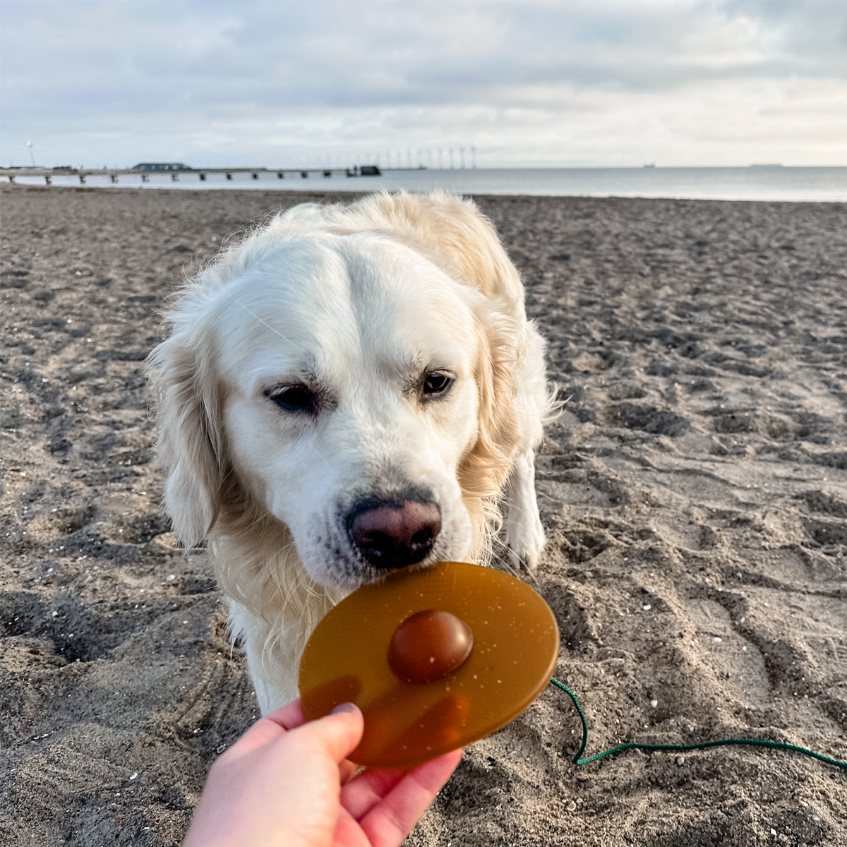 Hevea - Galaxy disc | frisbee i naturgummi