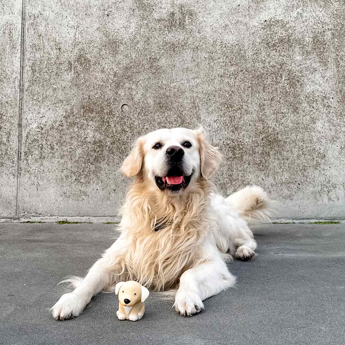 Hevea - Hundleksak i naturgummi (Golden Retriever)