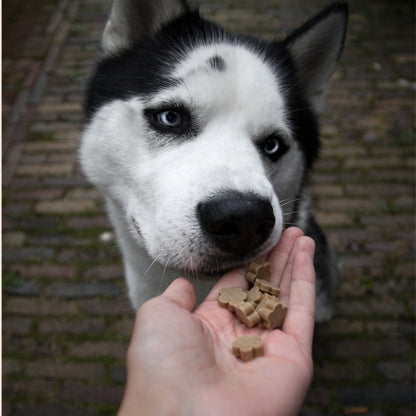 Soopa - Hundgodis | Tranbär och sötpotatis (50g, 50 bitar)