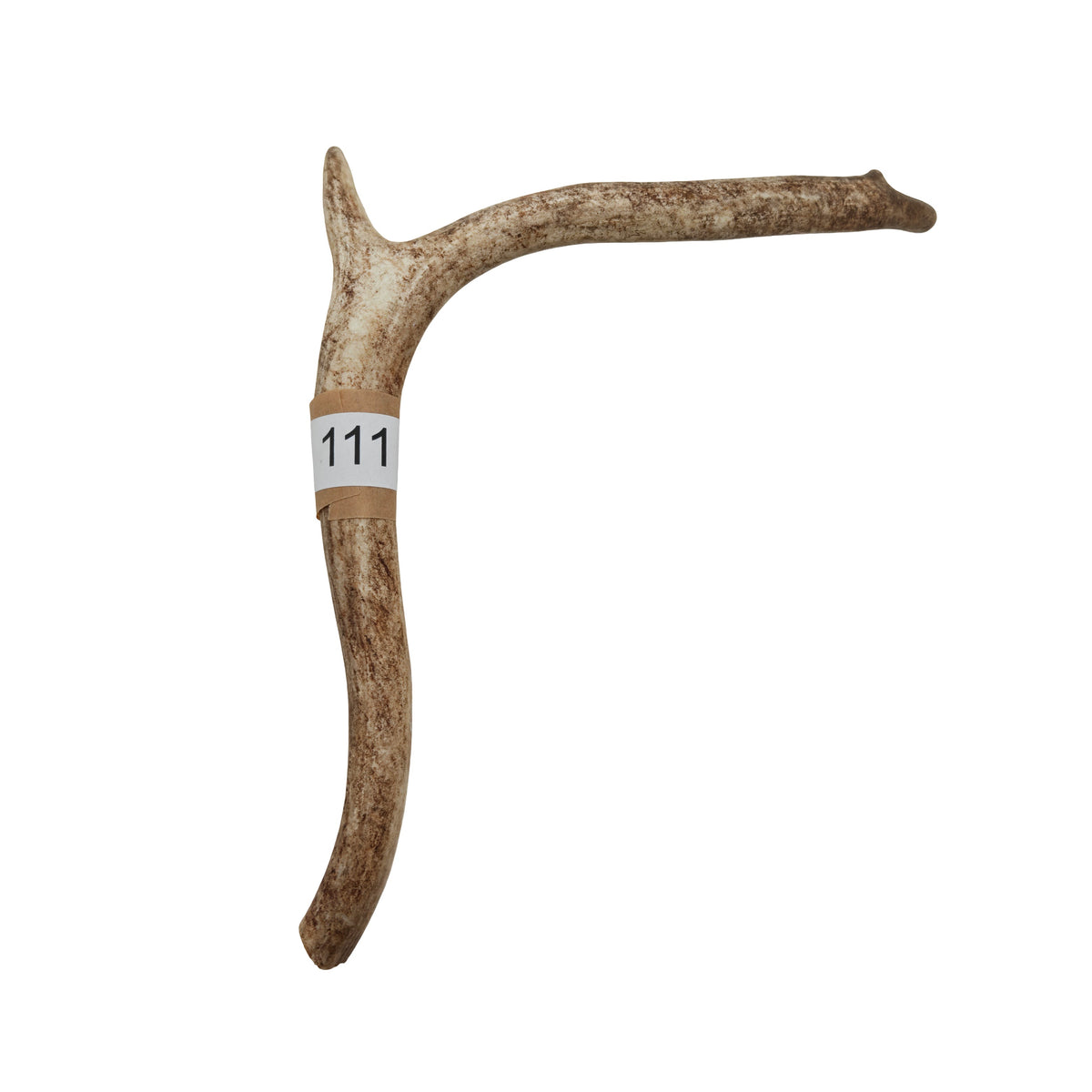 Renhorn nr 111 – naturligt tuggben från svensk ren