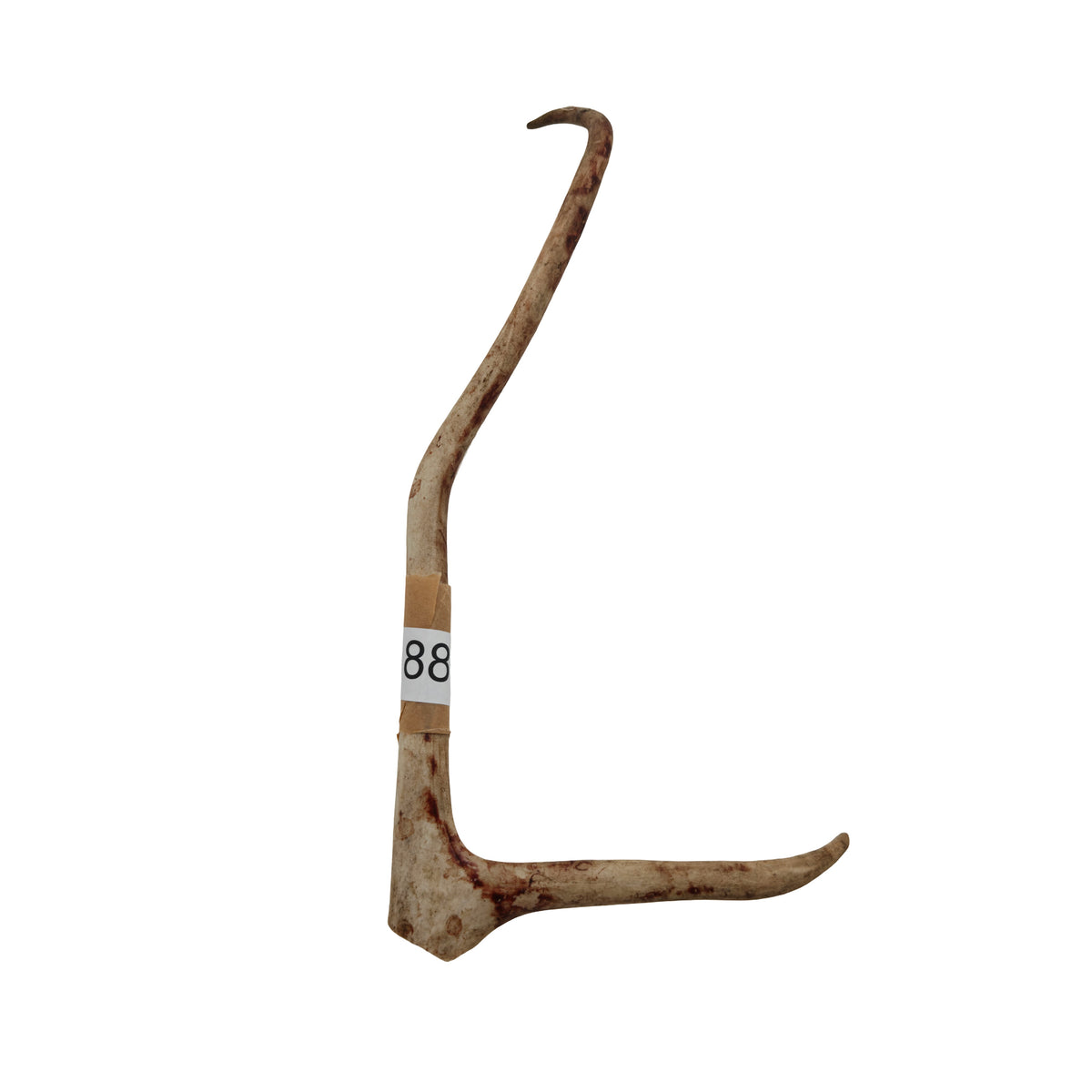 Renhorn nr 88 – naturligt tuggben från svensk ren