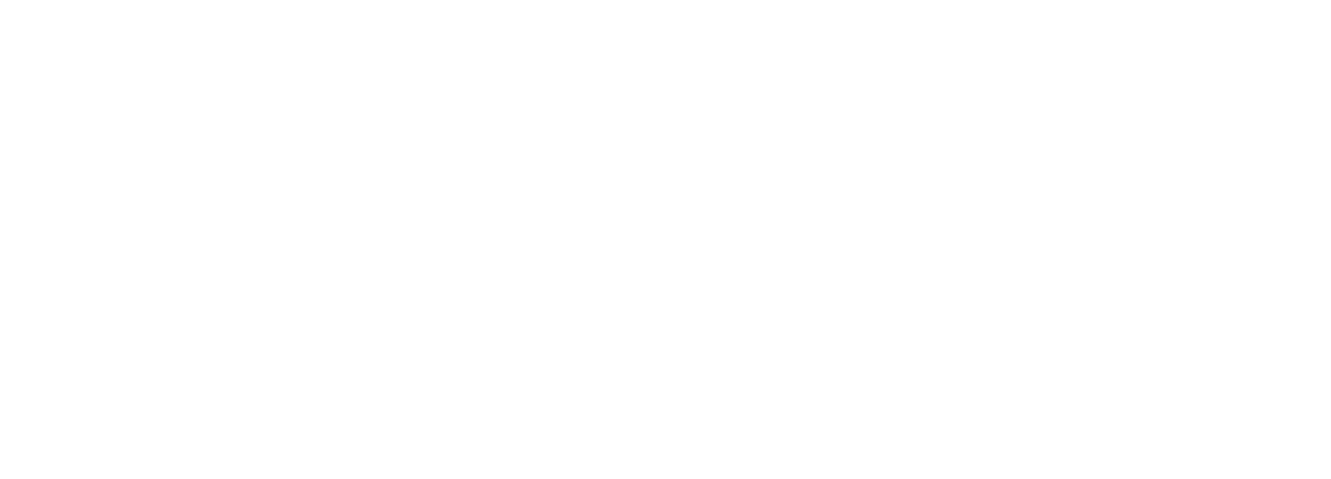 Mr Bones