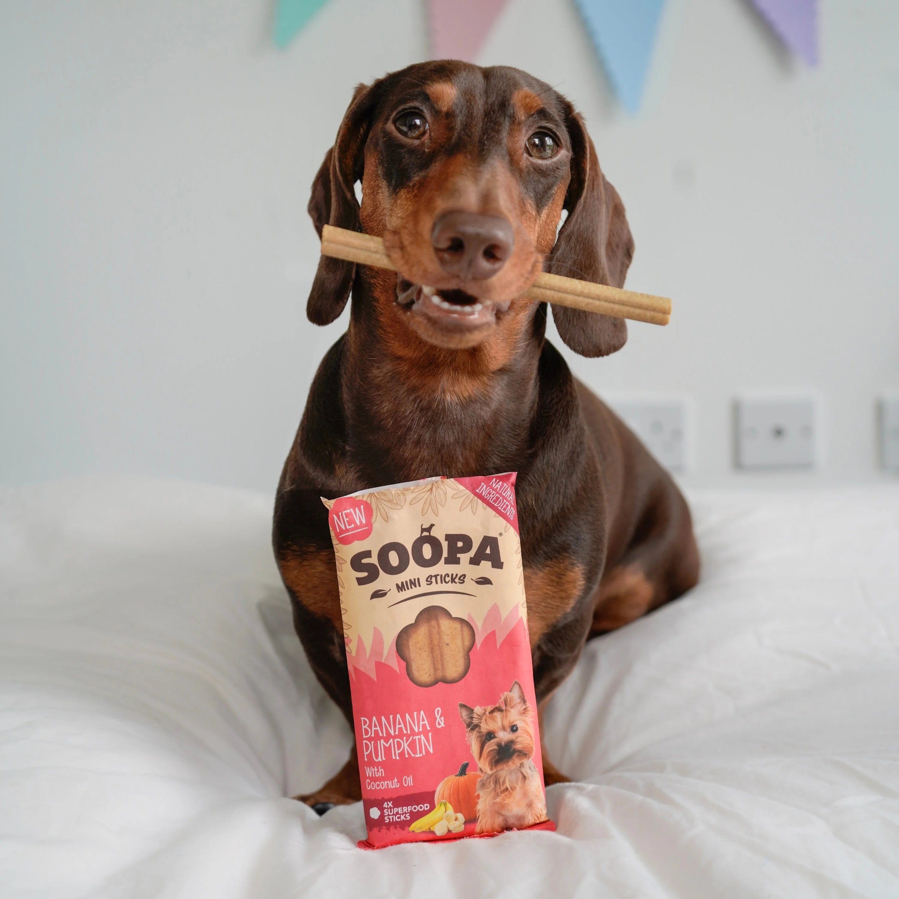 Soopa - Tuggpinnar MINI | Banan och Pumpa (8-pack)