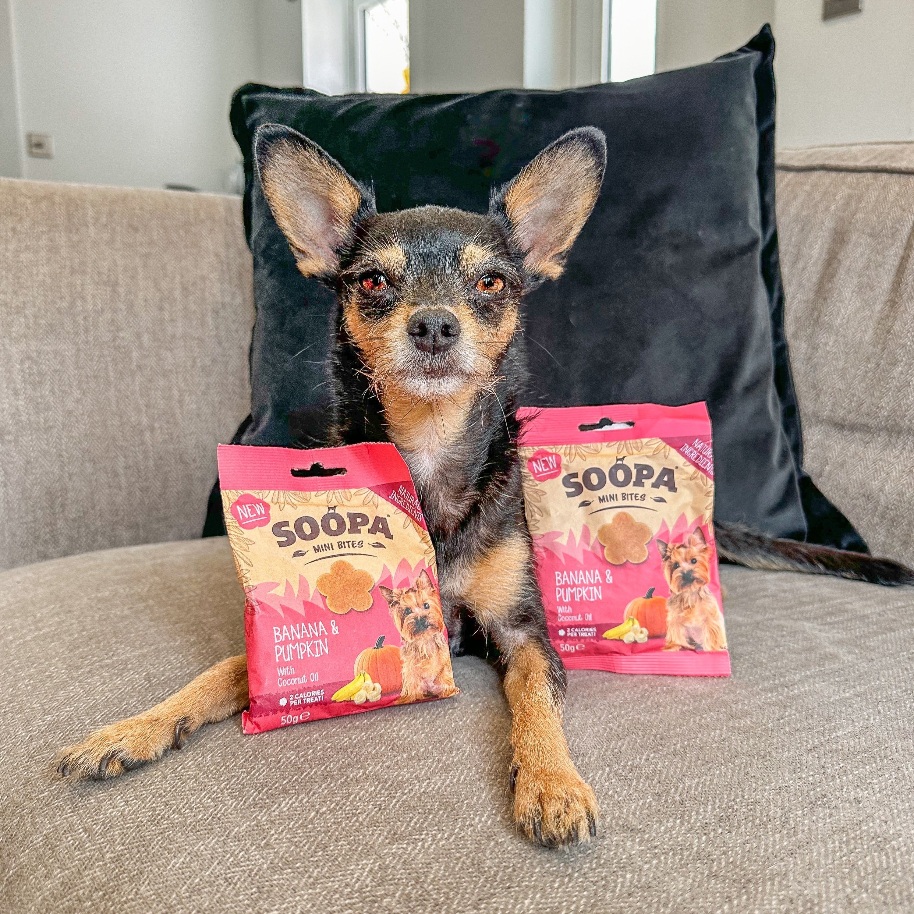 Soopa - Hundgodis MINI | Banan och pumpa (50g, 100 bitar)