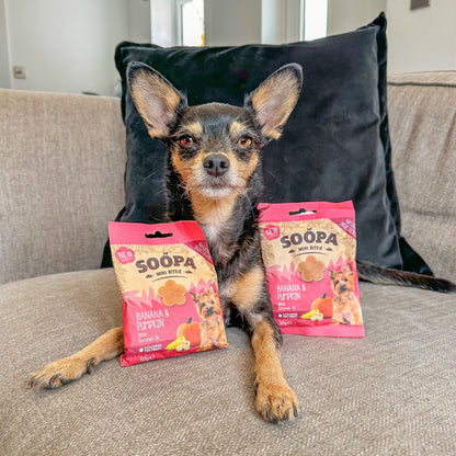 Soopa - Hundgodis MINI | Banan och pumpa (50g, 100 bitar)
