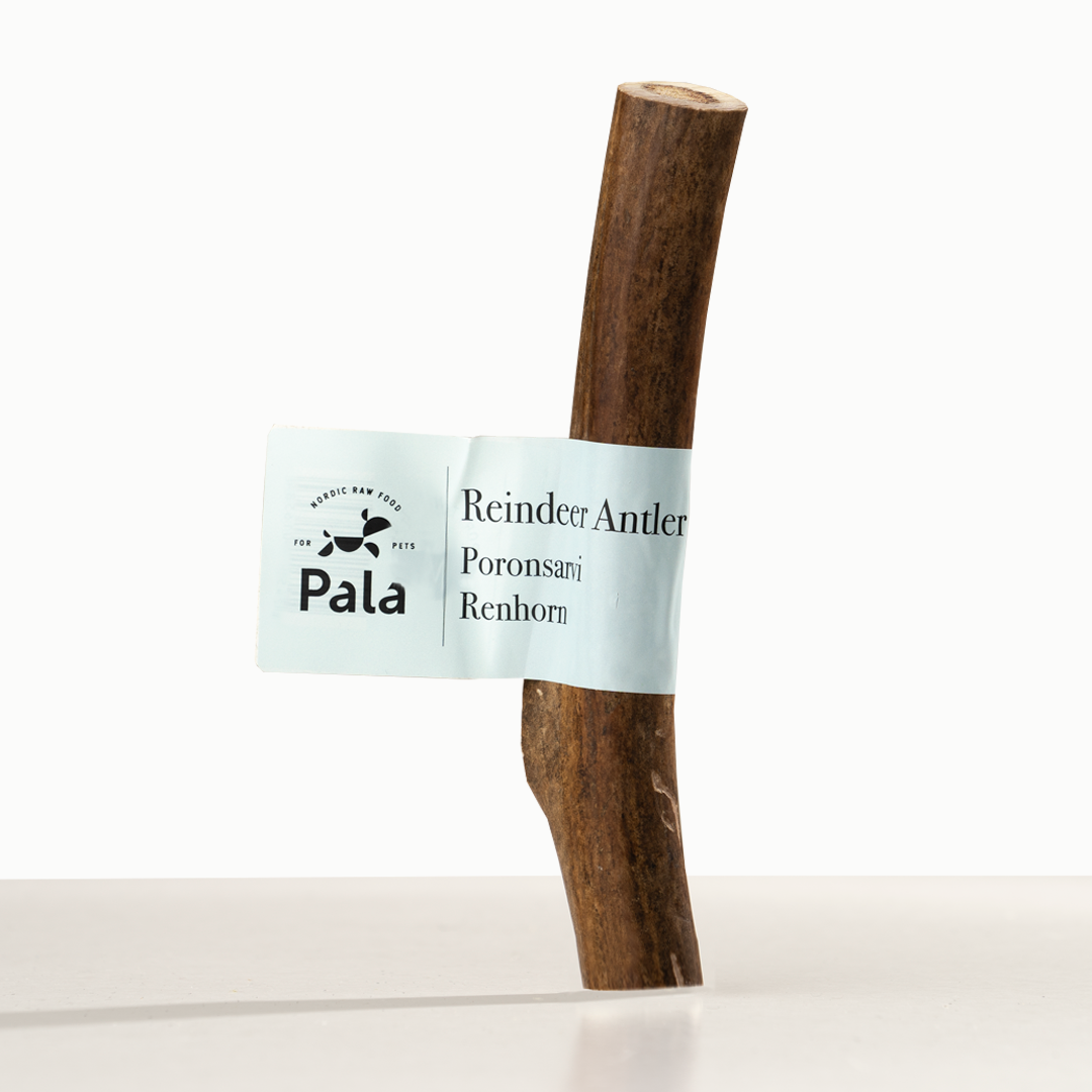 Pala - Renhorn hundtugg