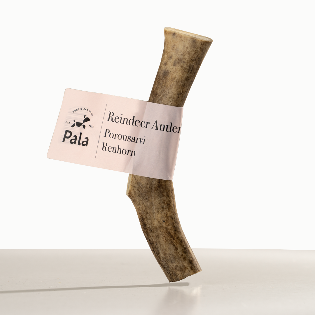 Pala - Renhorn hundtugg