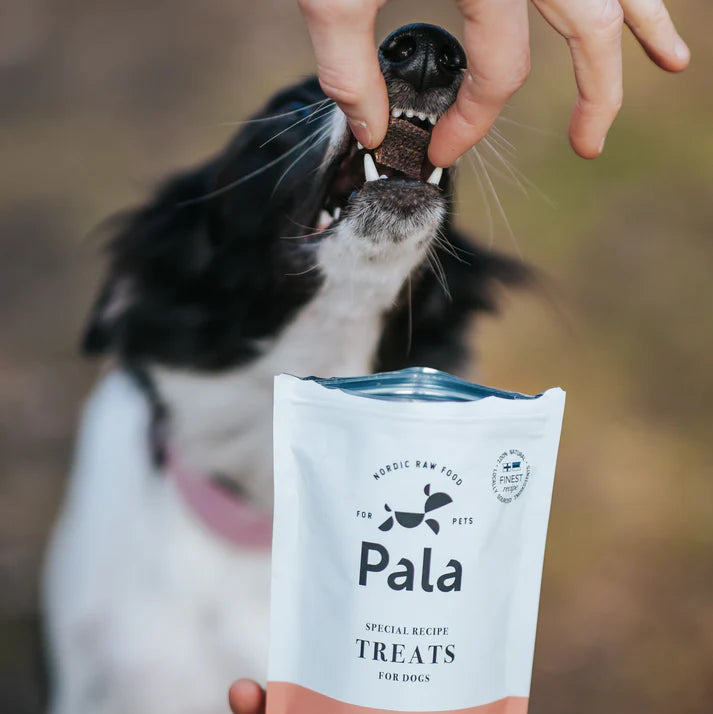 Pala - Hundgodis av 100% hjortkött (100g)