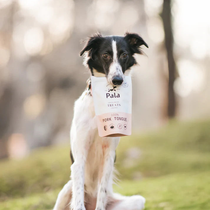 Pala - Hundgodis av 100% gristunga (100g)