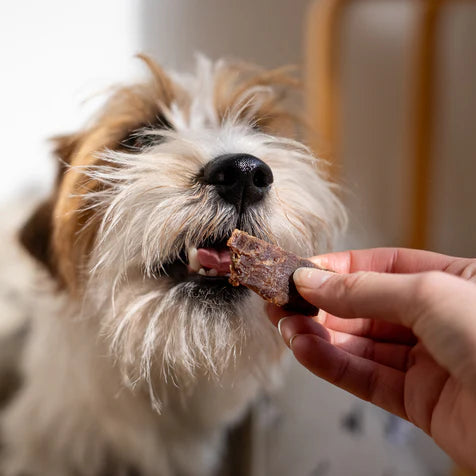 Pala - Hundgodis av 100% grismjälte (100g)