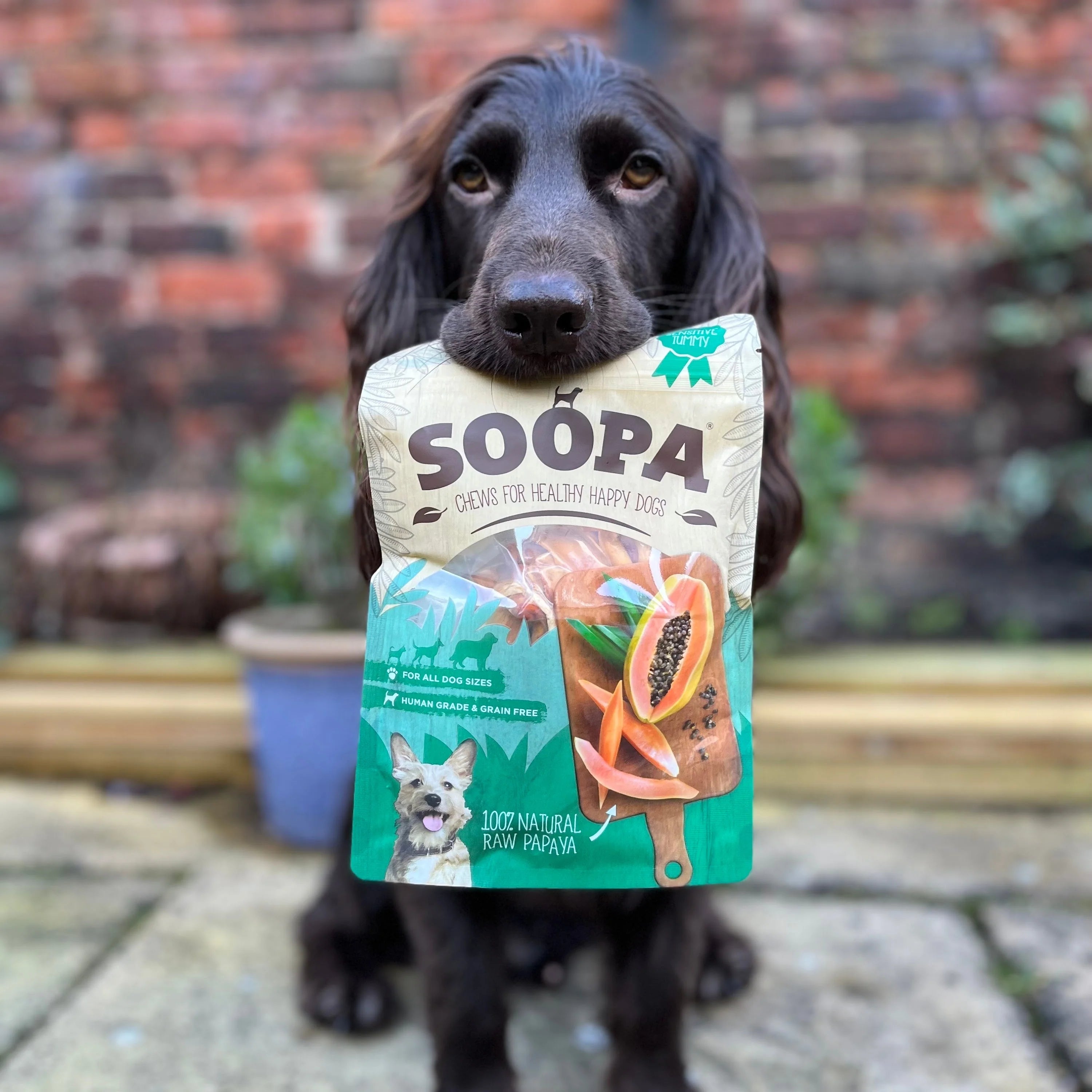 Soopa - Tugg av torkad papaya (75g)