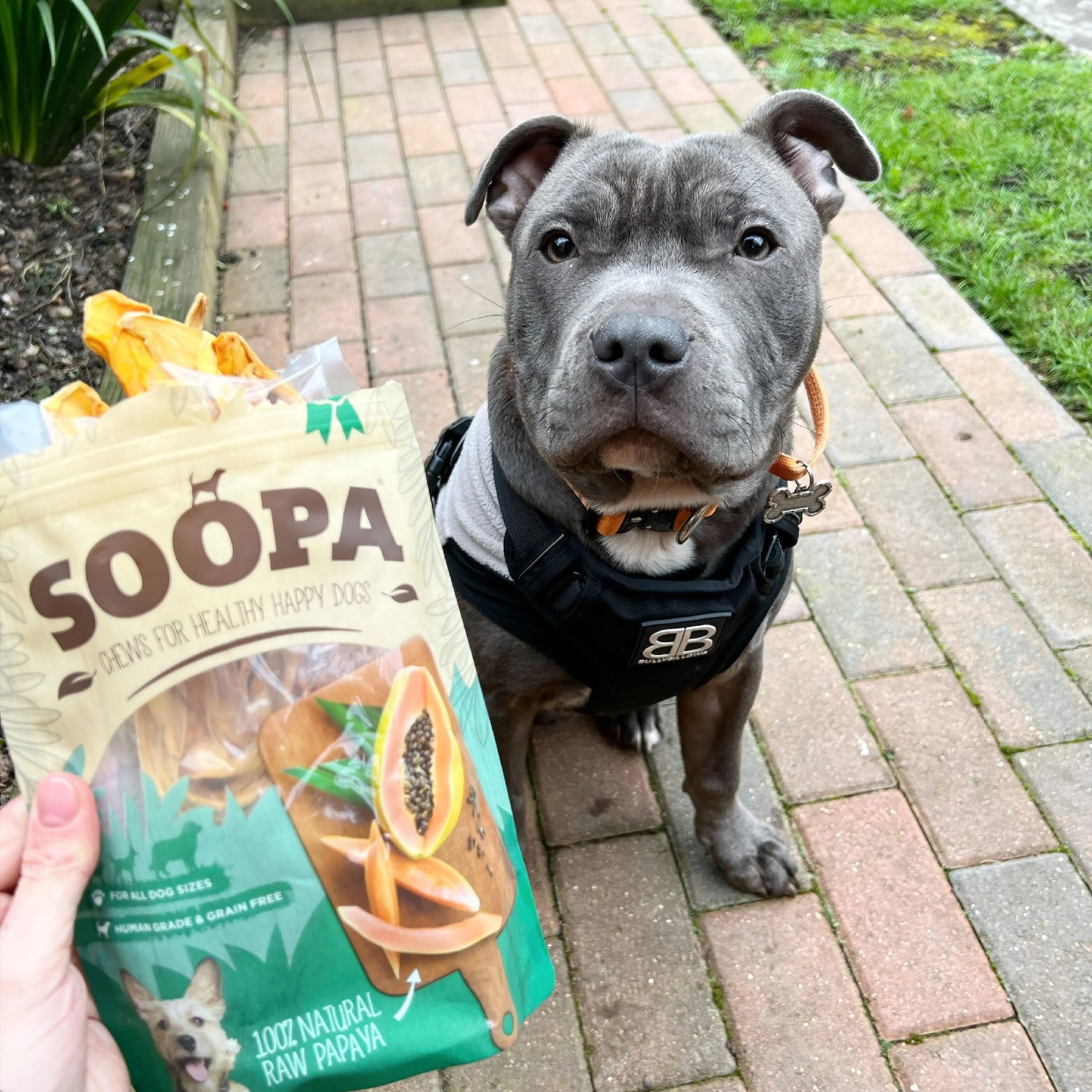 Soopa - Tugg av torkad papaya (75g)