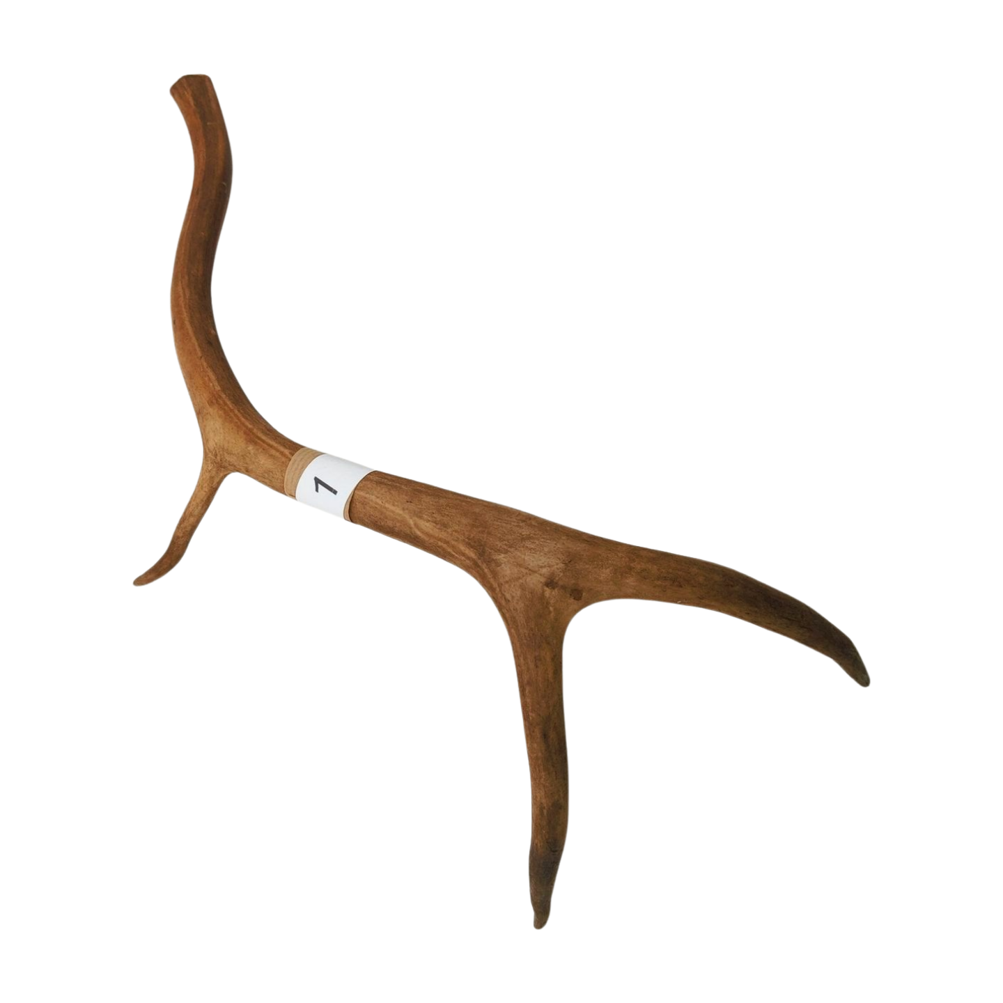 Välj ditt eget renhorn