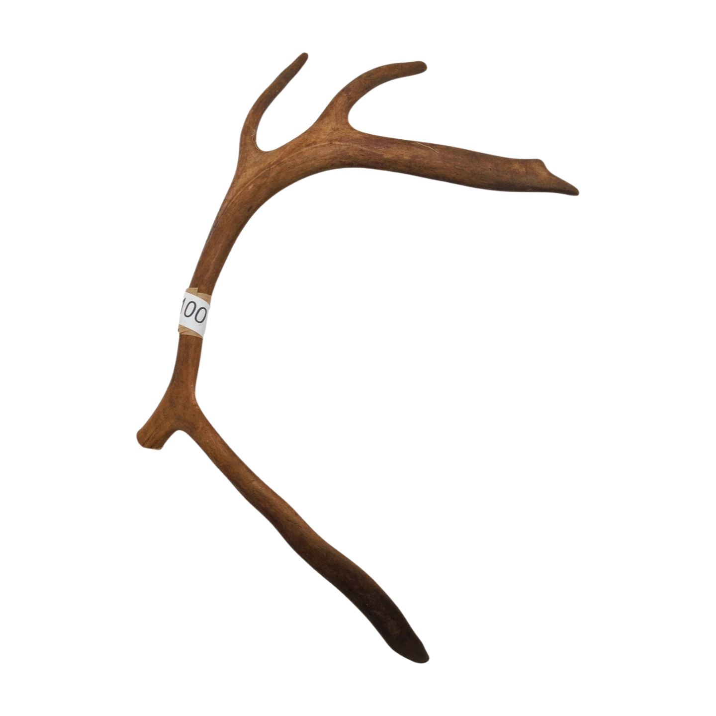 Välj ditt eget renhorn