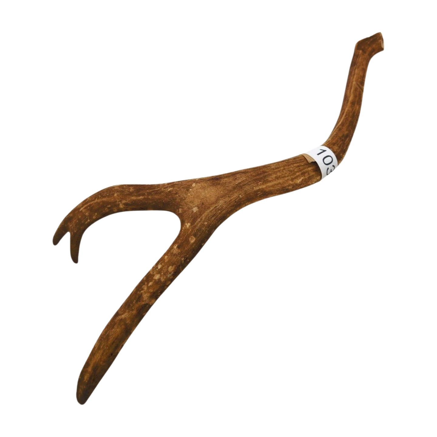 Välj ditt eget renhorn