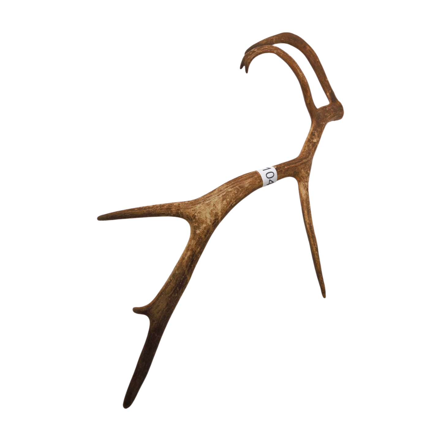 Välj ditt eget renhorn