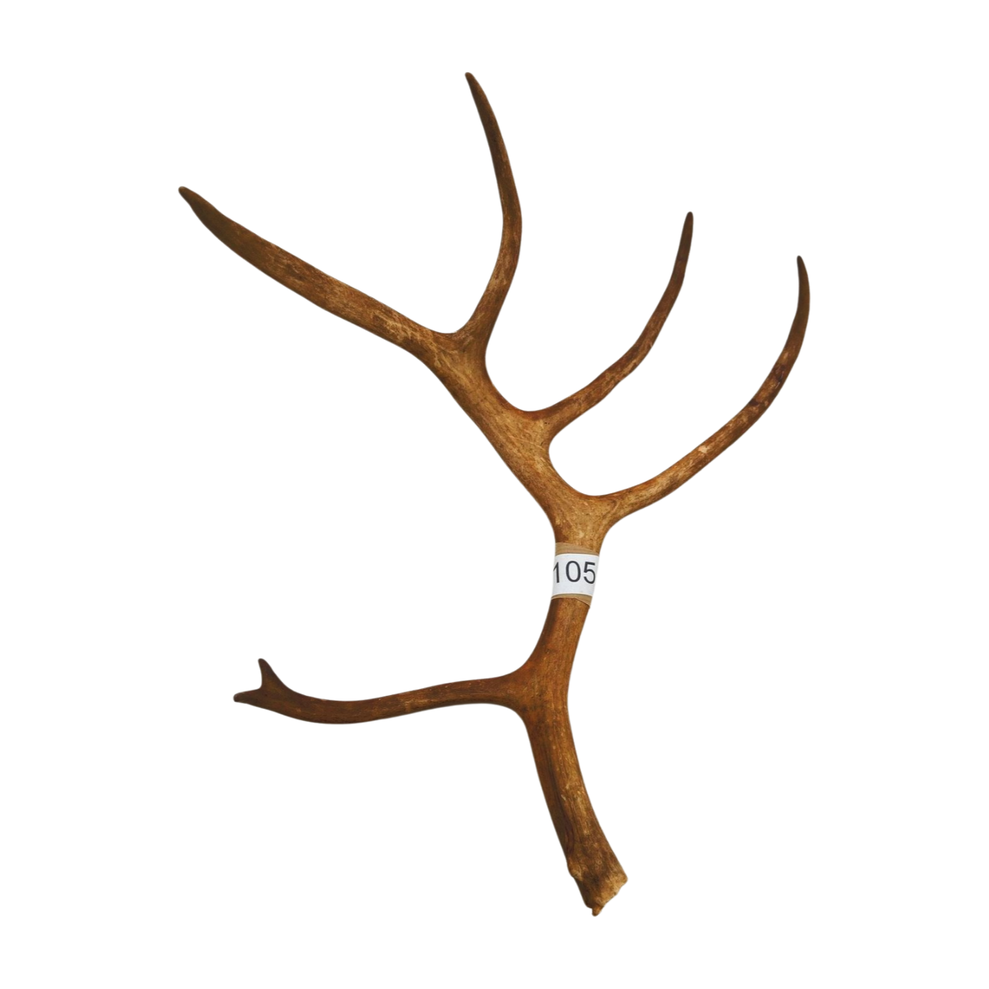 Välj ditt eget renhorn